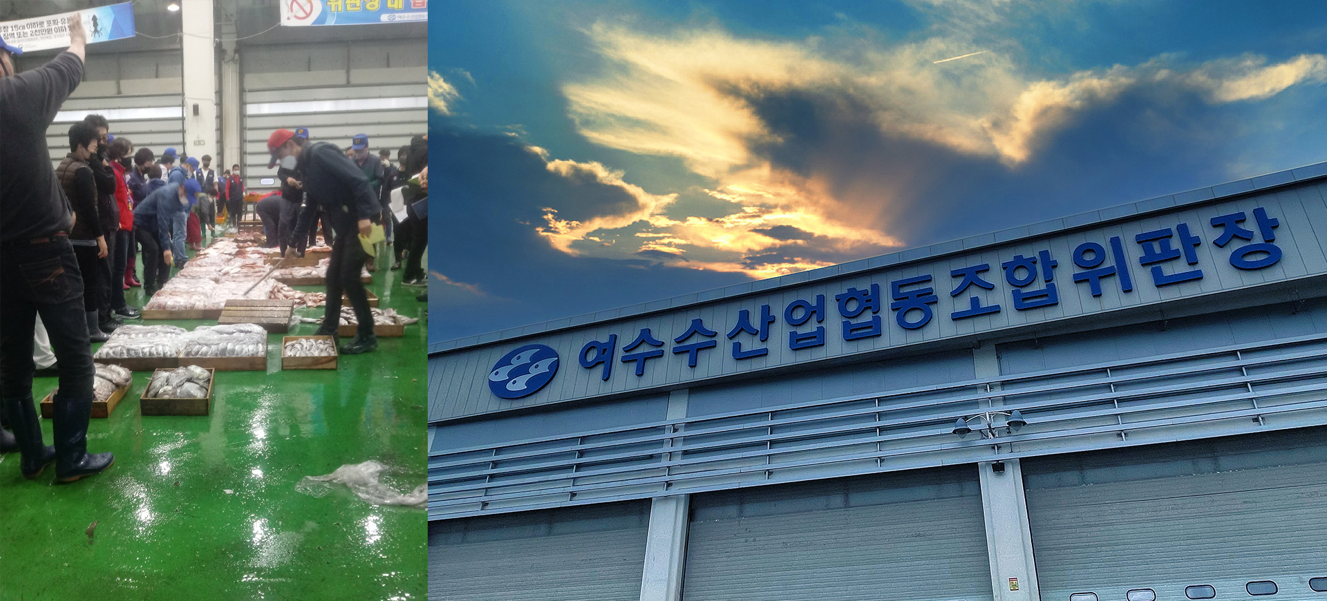 여수수협중매인조합