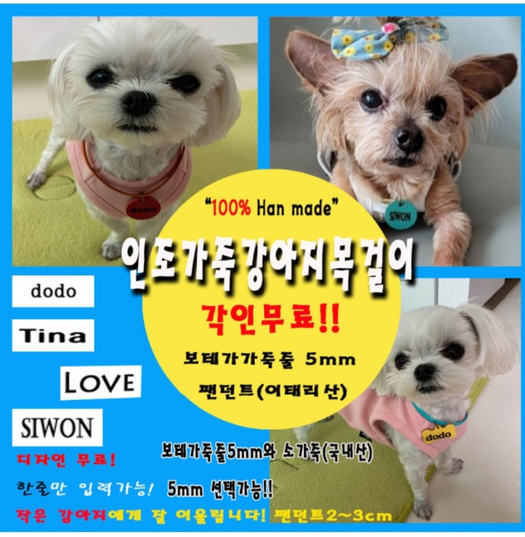 GoGO쇼핑나라