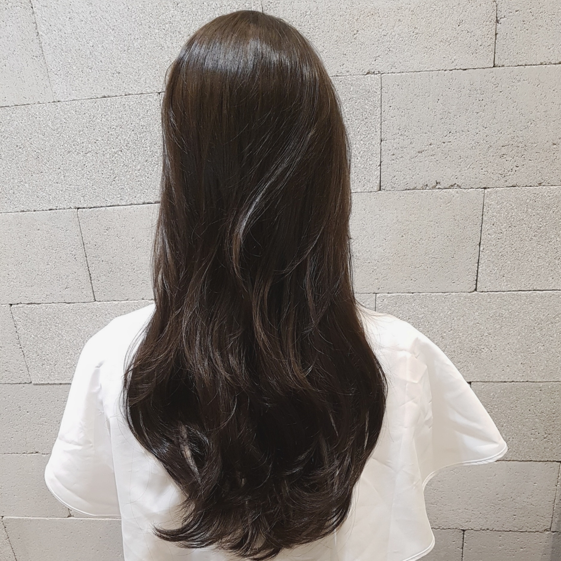 모리헤어