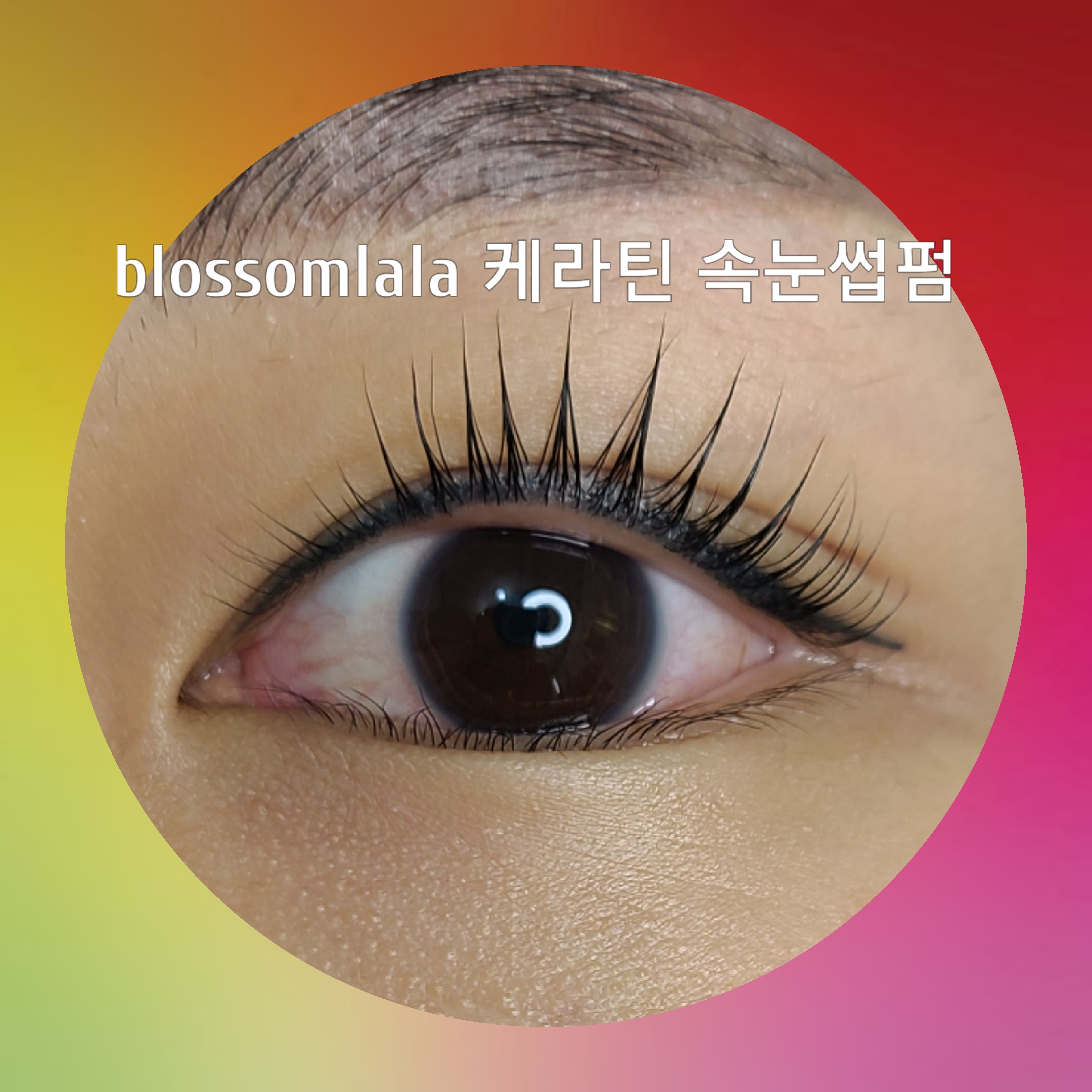 블라썸라라 대표 이미지