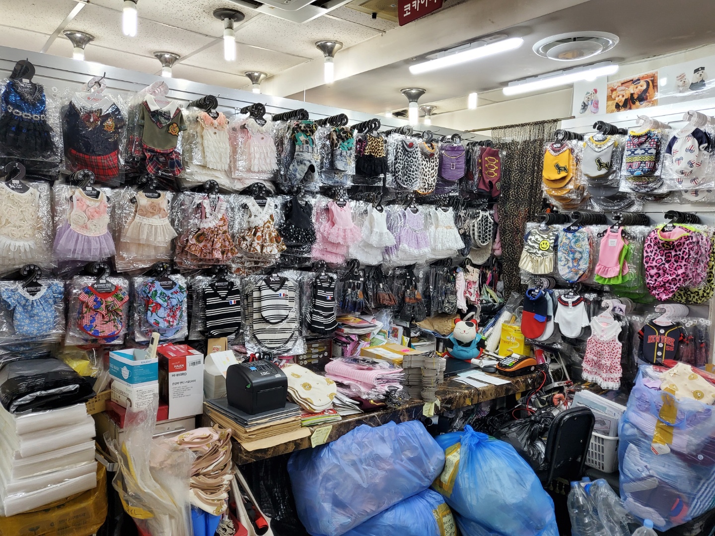 영창상가애견용품 이미지