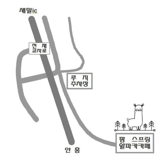 팜스프링 대표 이미지 - 알파카와 함께 즐기는 스파게티