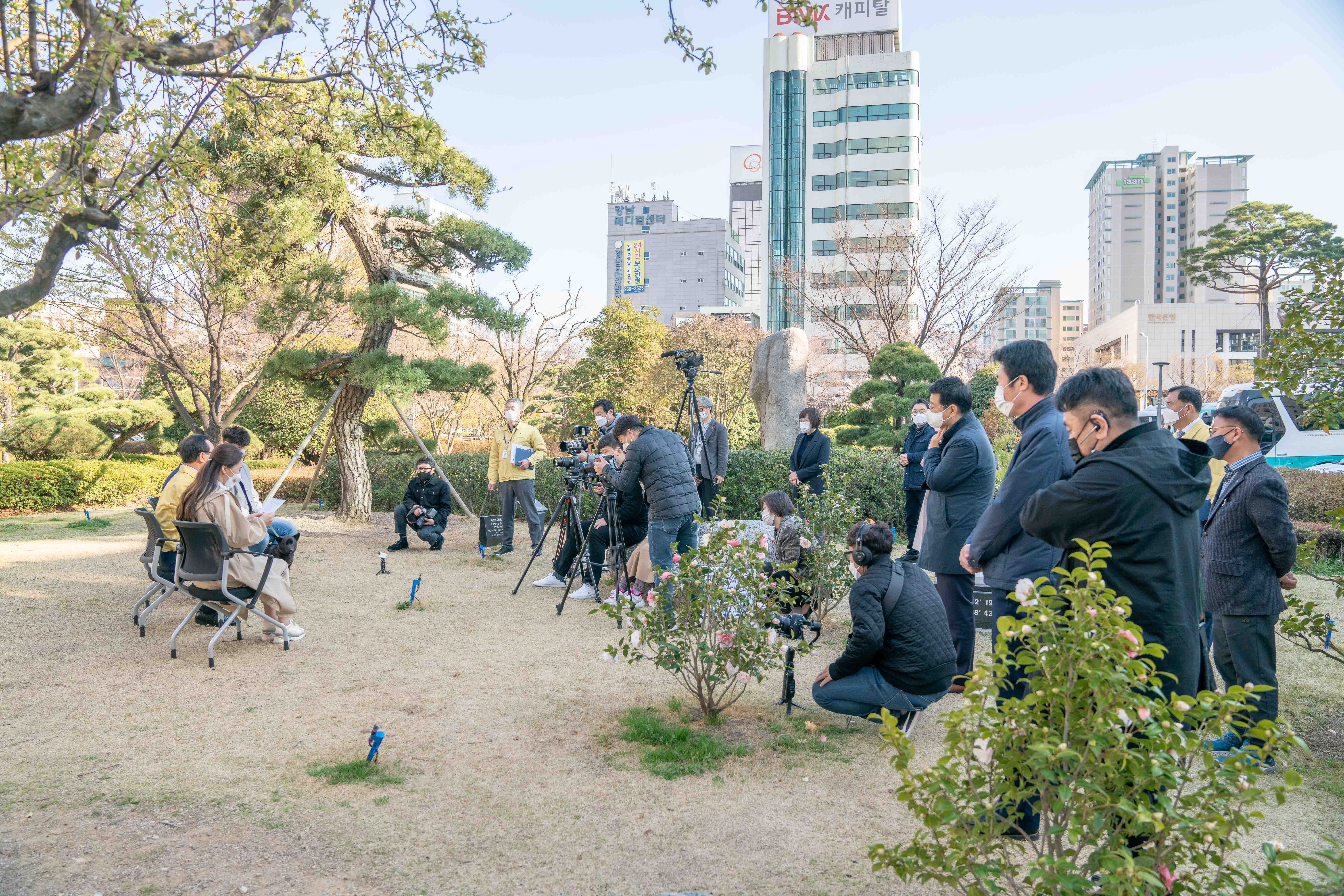디케이픽쳐스