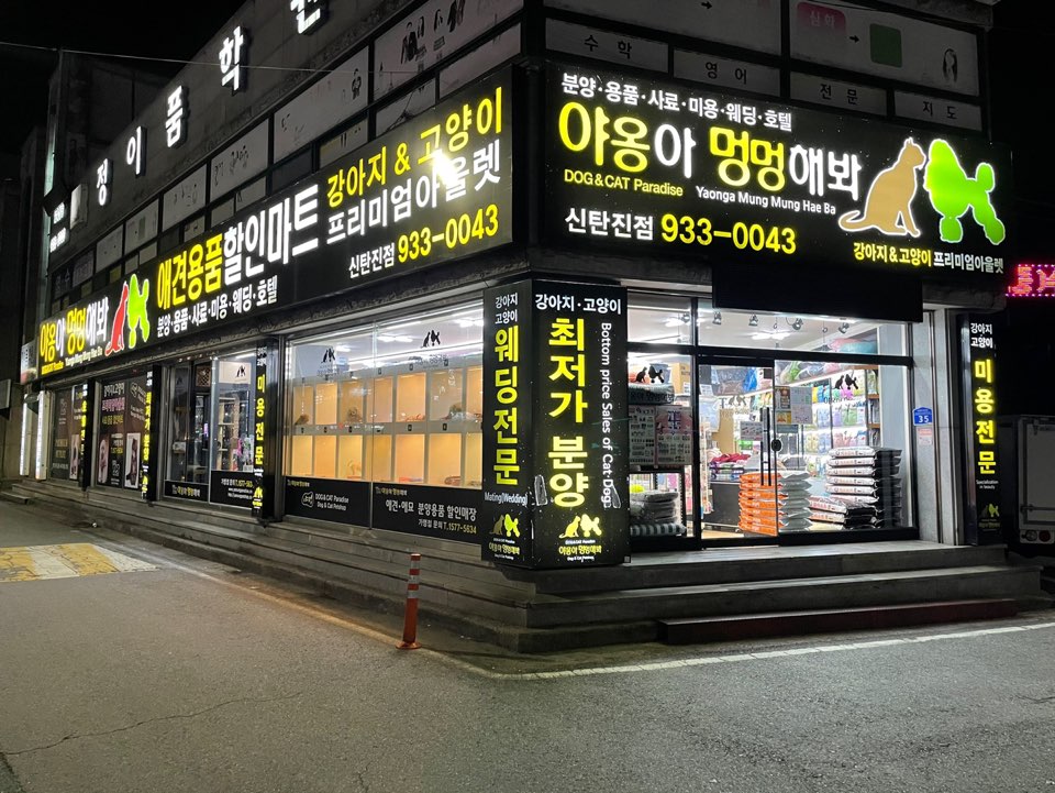 야옹아멍멍해봐펫 강아지고양이 대전신탄진점