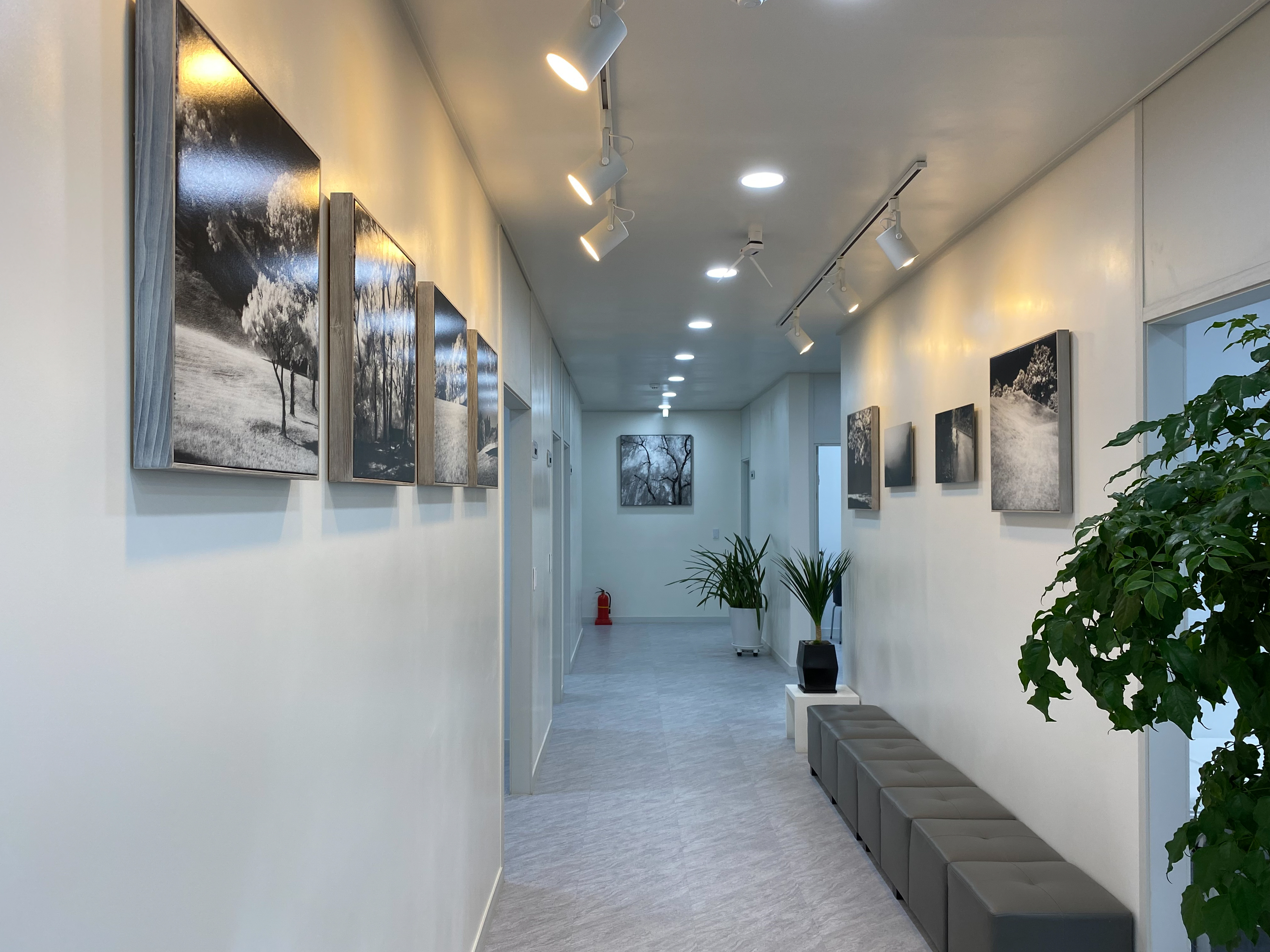 연세이비인후과의원 대표 이미지