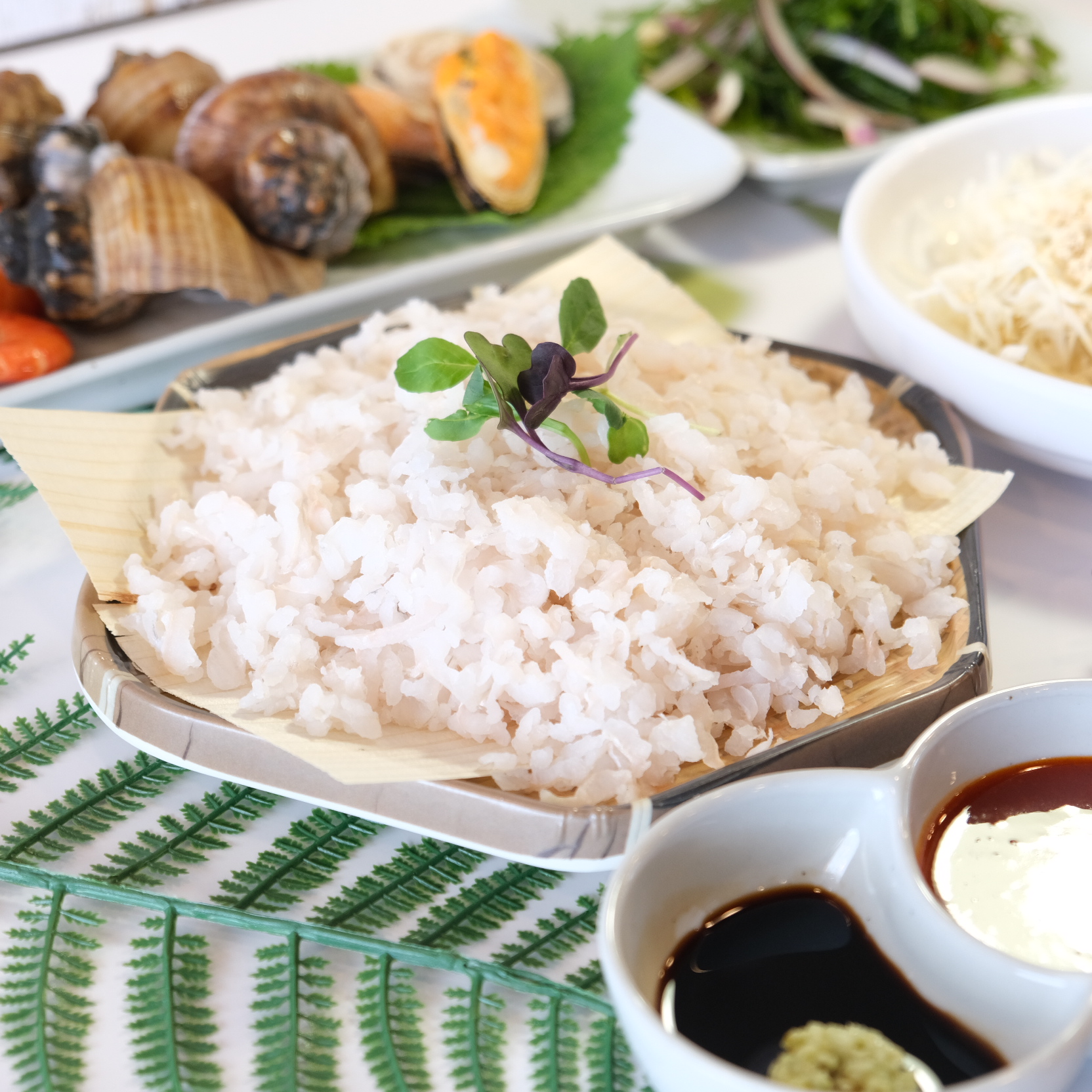 해송칠암붕장어
