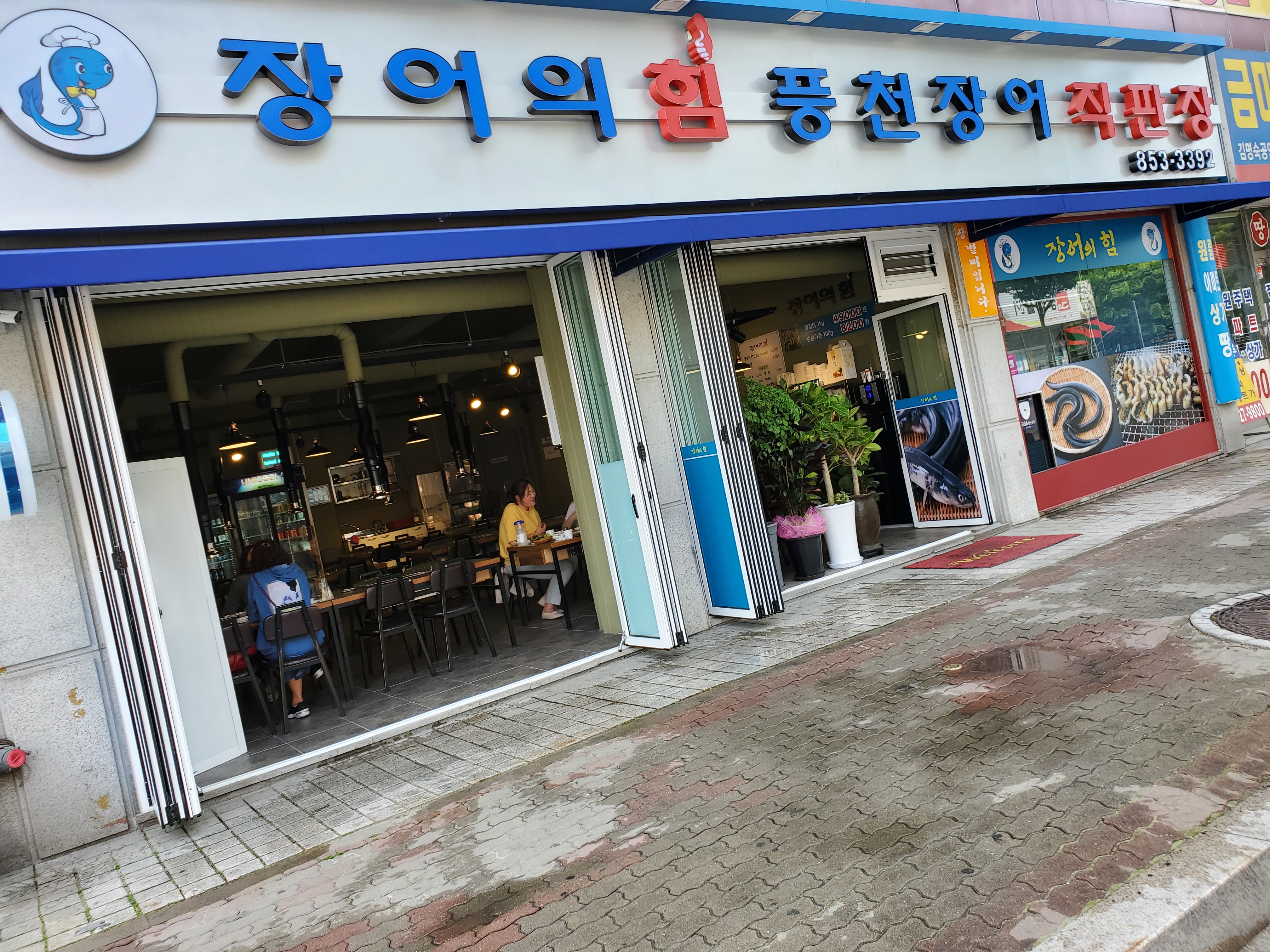 장어의 힘