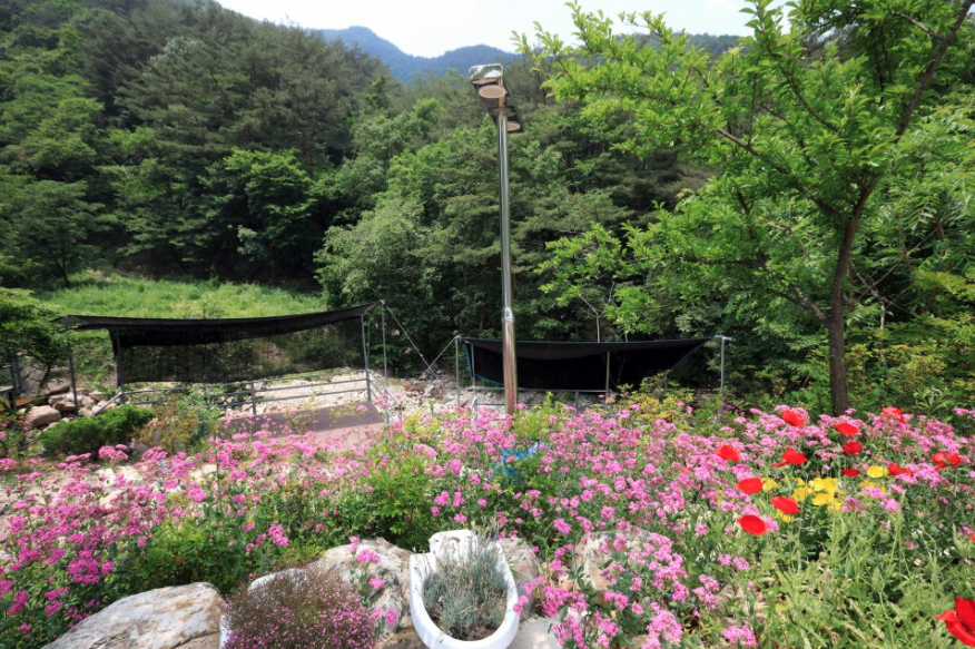 회문랜드 캠핑장