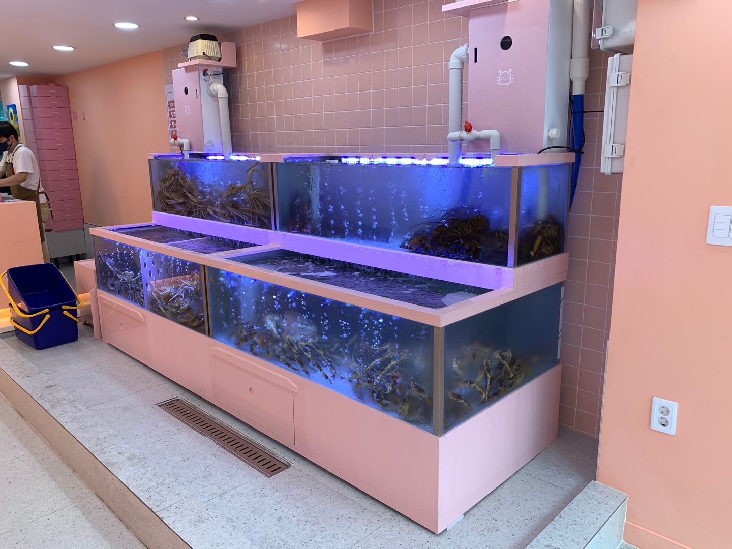 헬로크랩 수성점