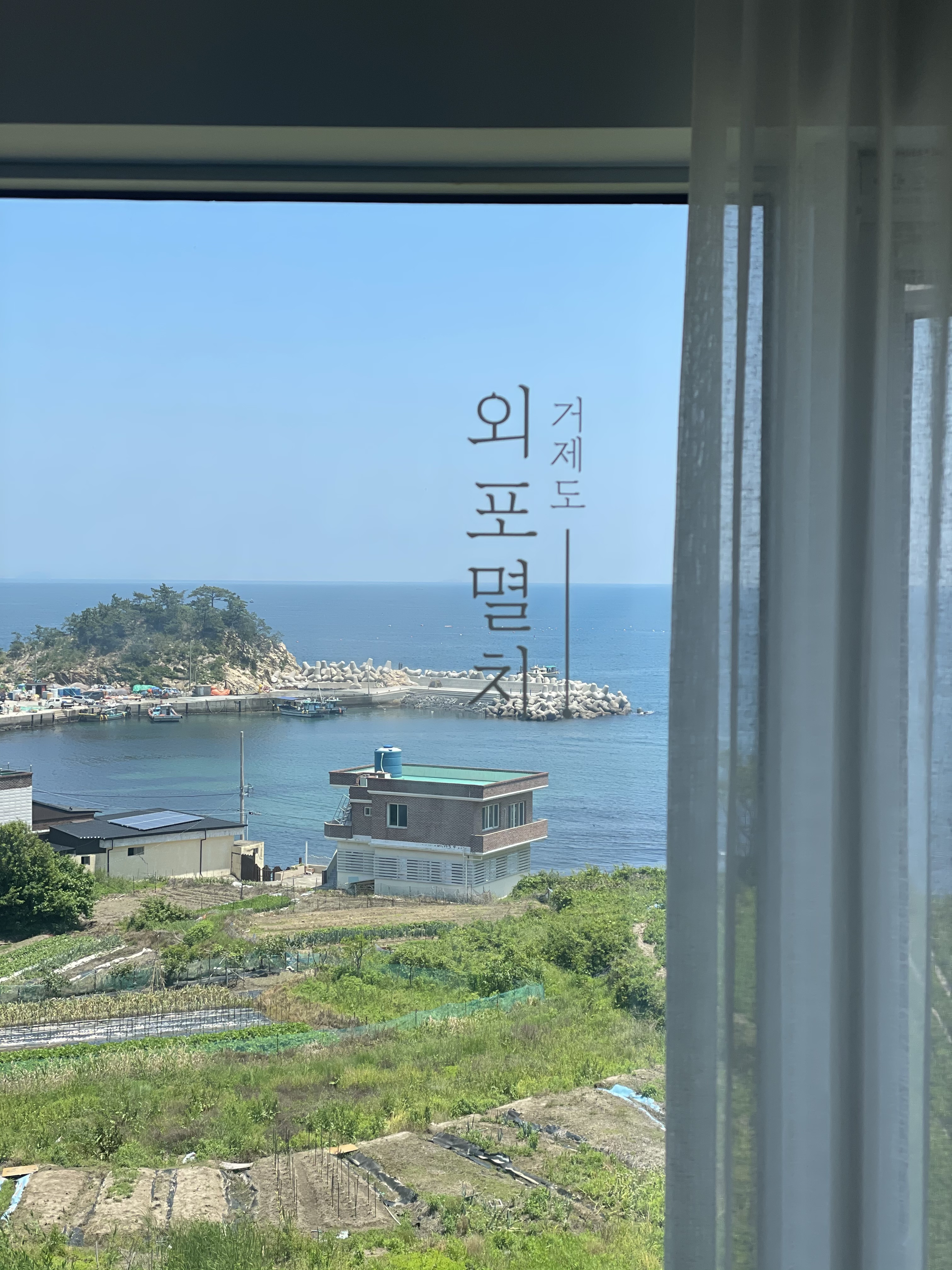 카페외포 경상 애견카페