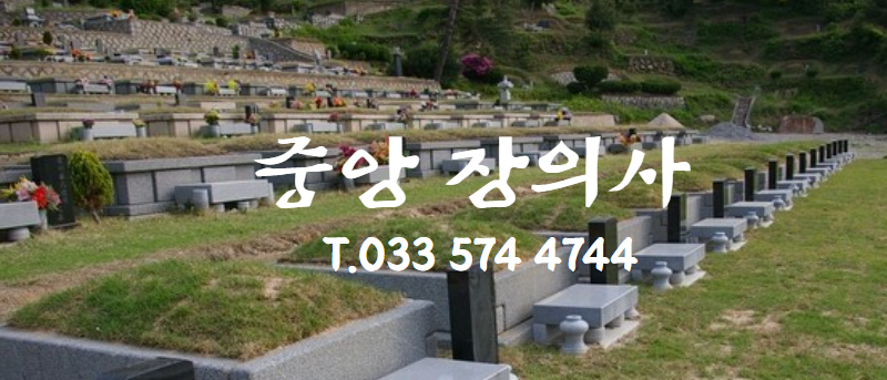 중앙장의사