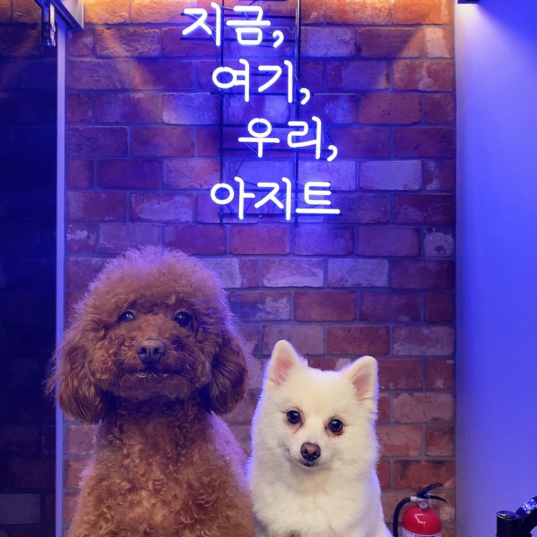 아지트 보드게임카페
