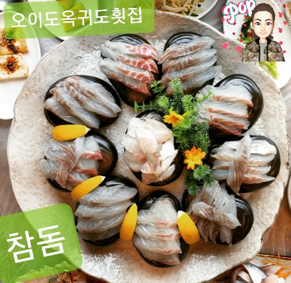 참돔 소