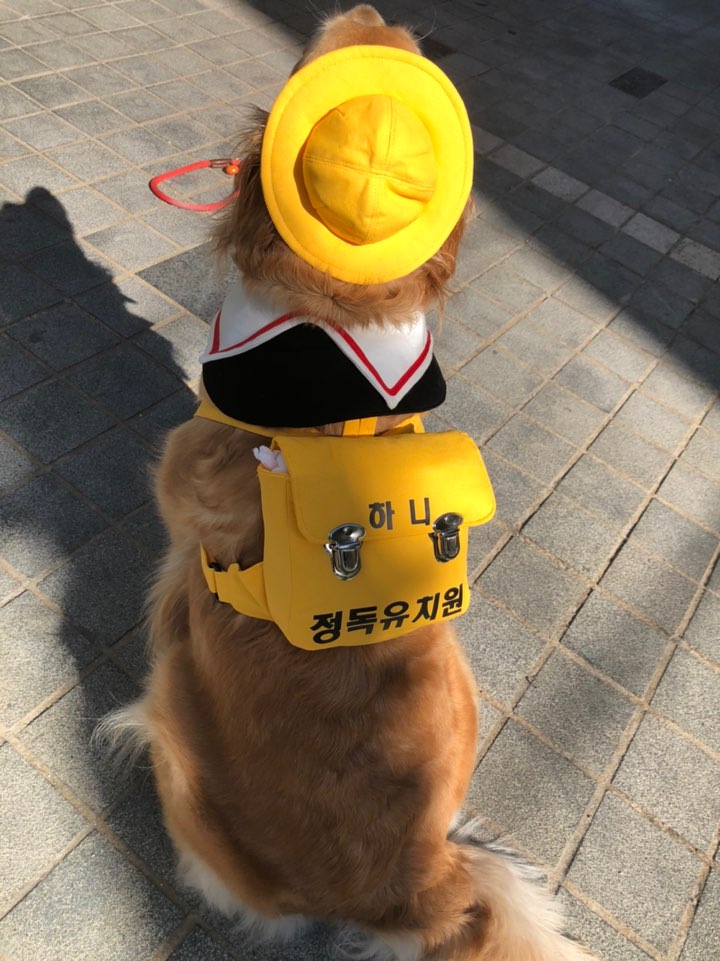 주변 가볼만한 곳