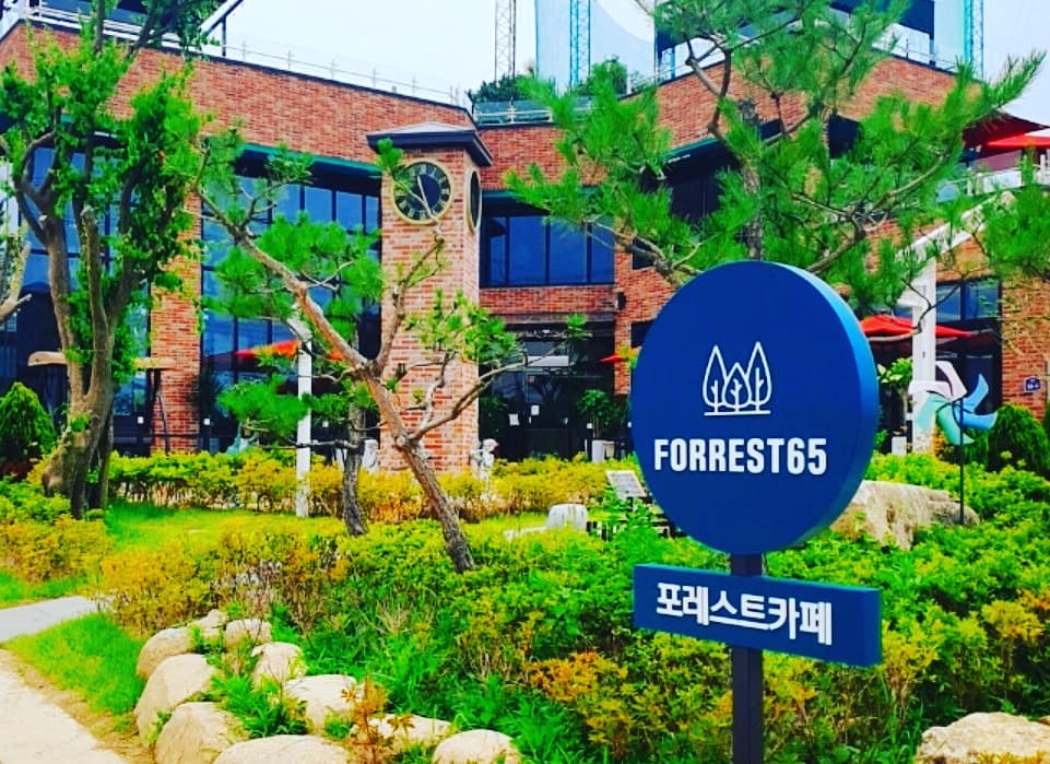 포레스트65