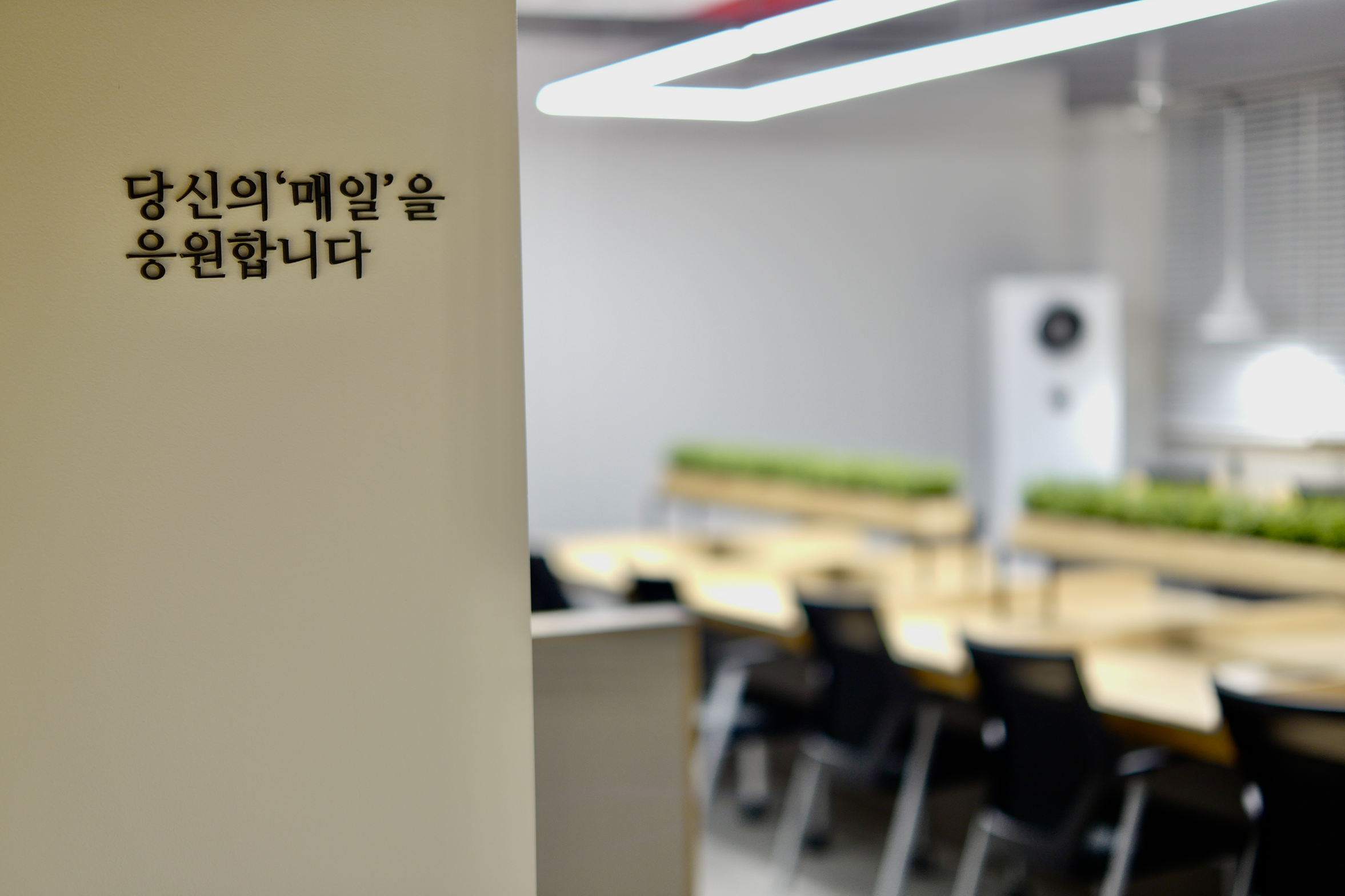 데일리스터디카페 다정점 대표이미지