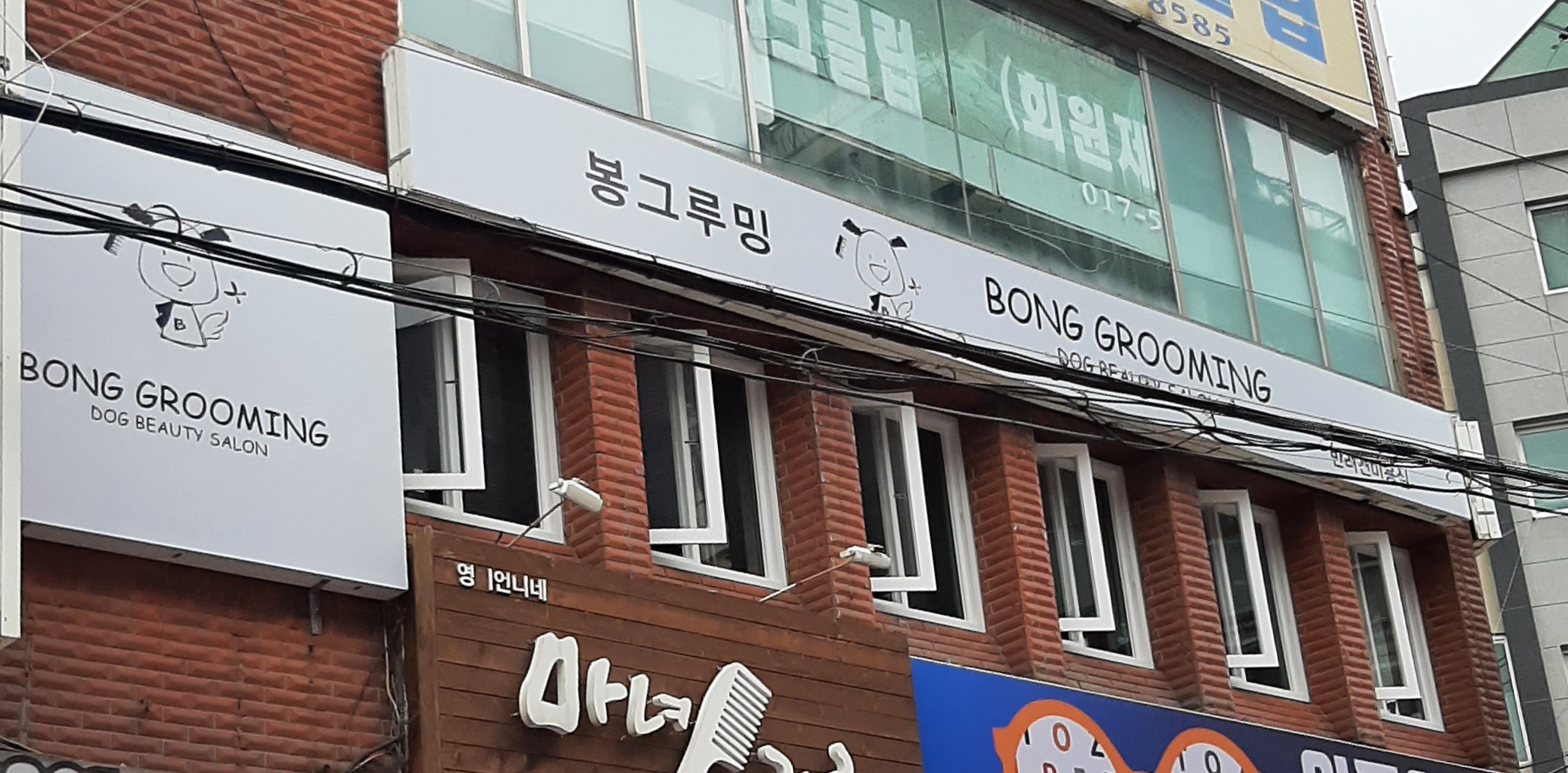 봉그루밍 반려동물 동반 애견카페