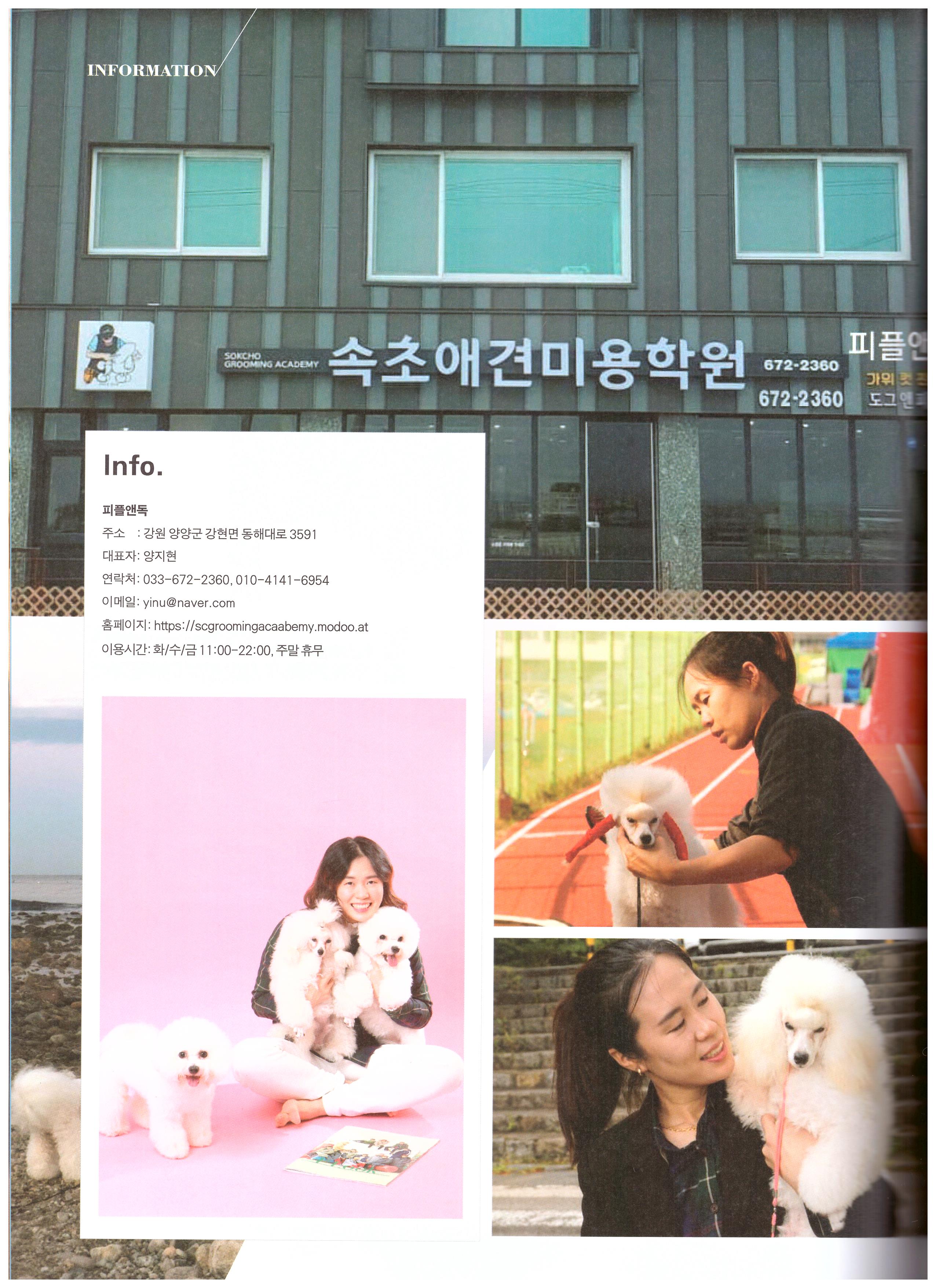 속초애견미용학원