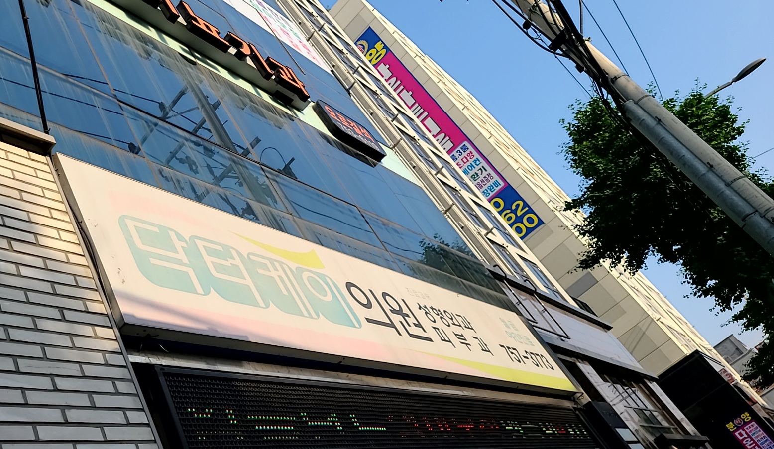 닥터케이의원