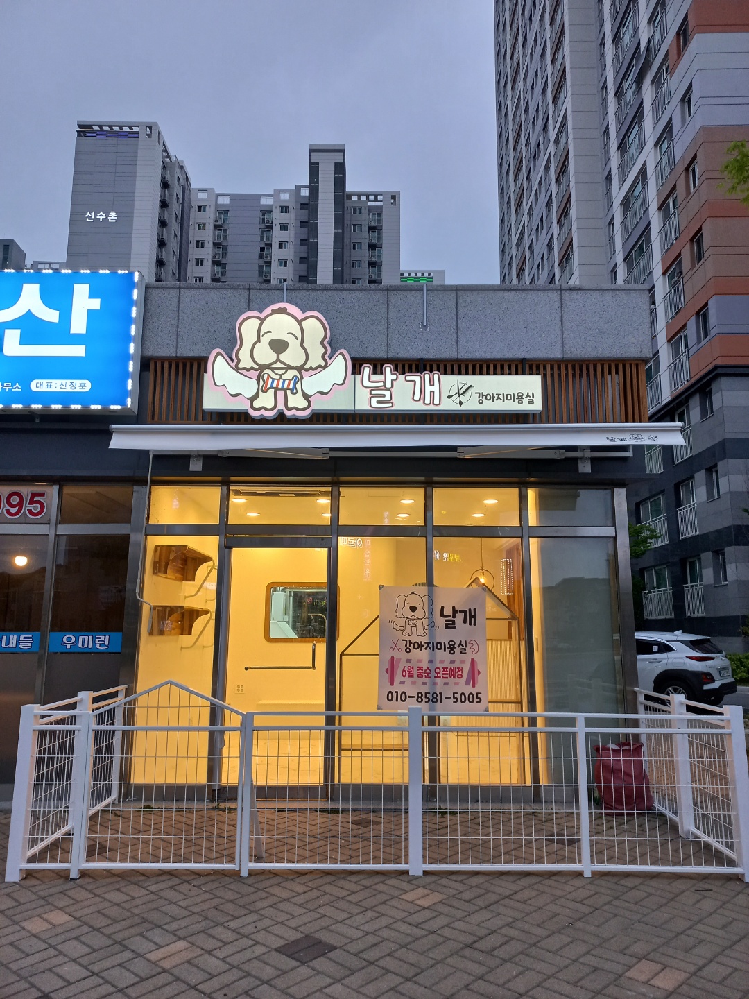 날개 강아지미용실 대표 이미지
