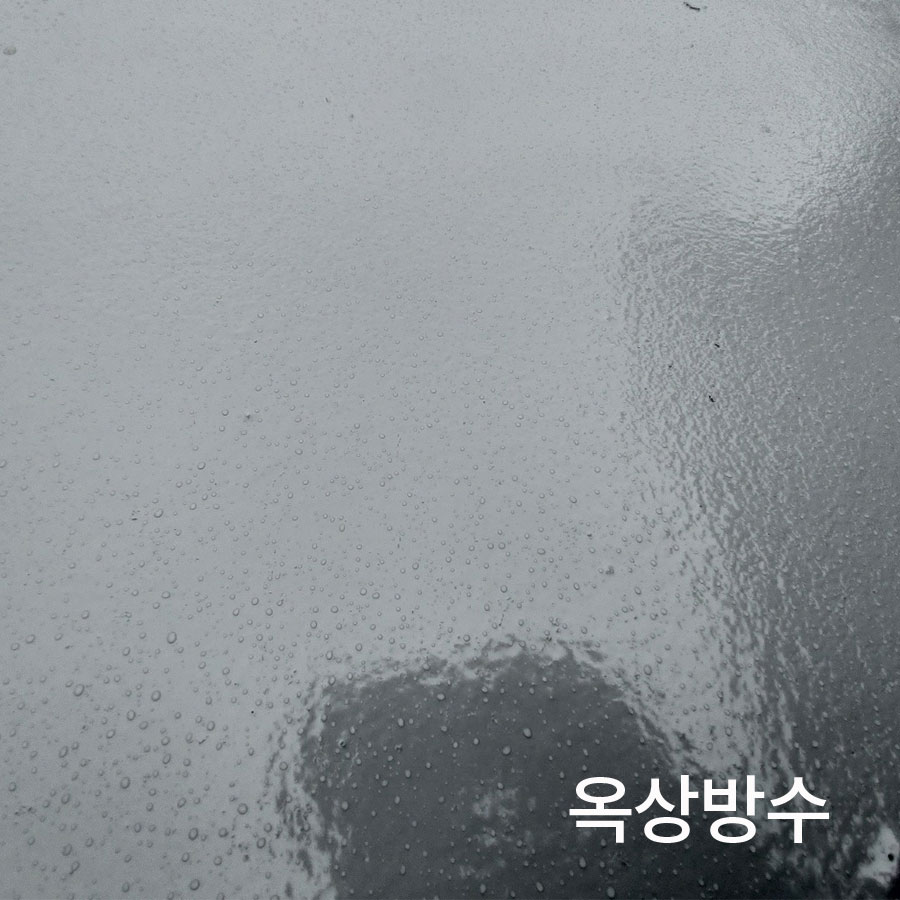 정성개발