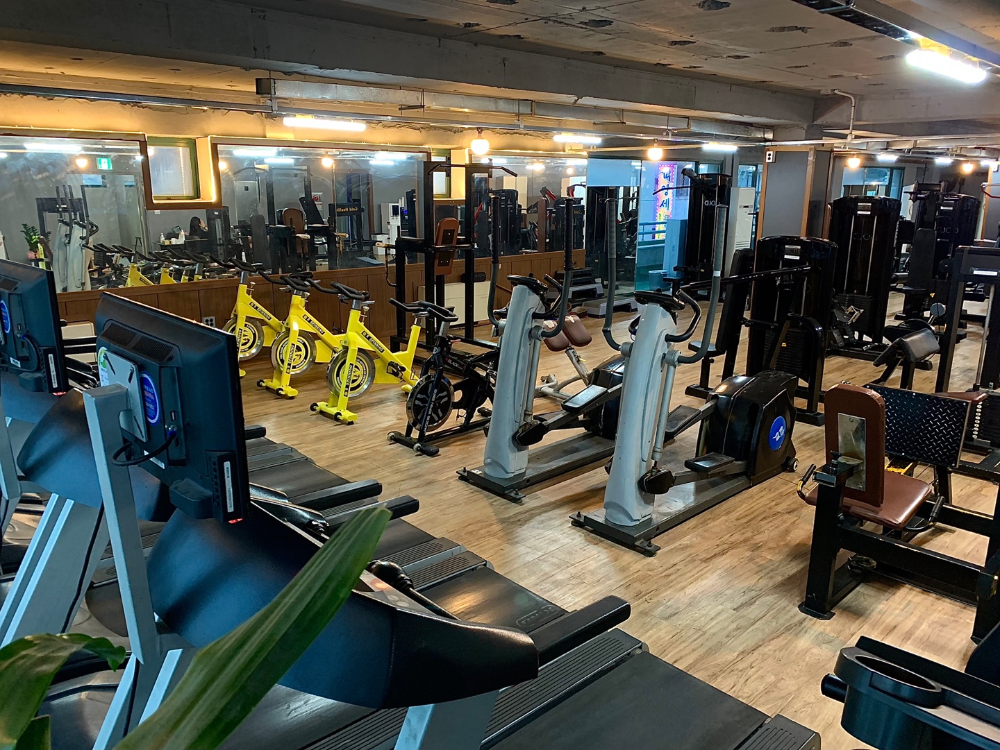 골드헬스클럽