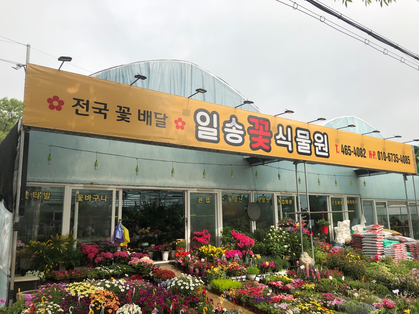 일송꽃식물원
