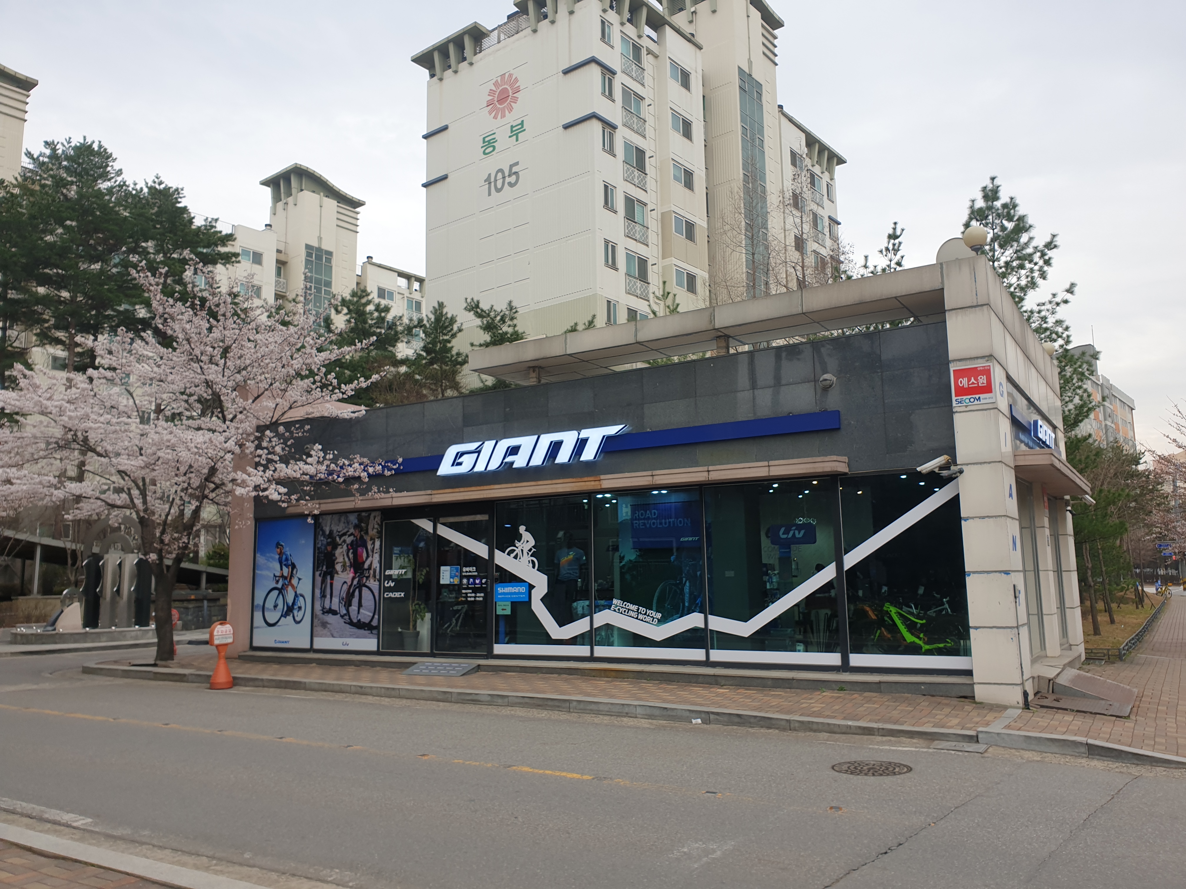 자이언트 자전거
