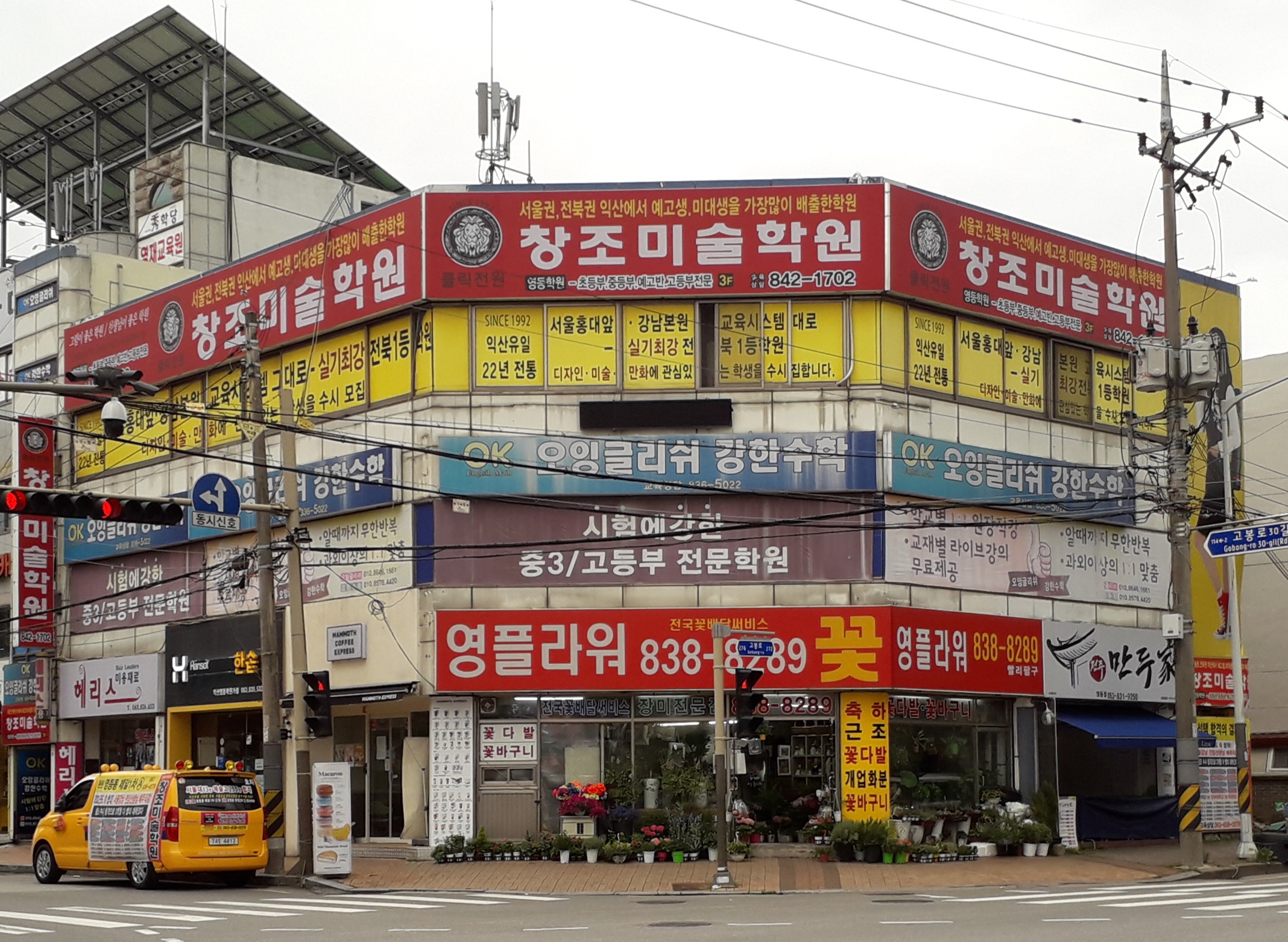 영플라워