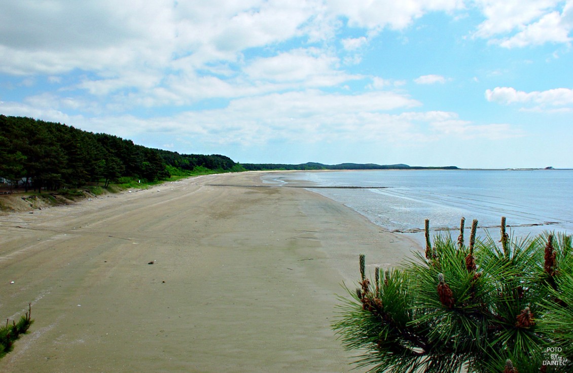 청포대휴캠핑장