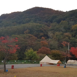 은하수 캠핑장