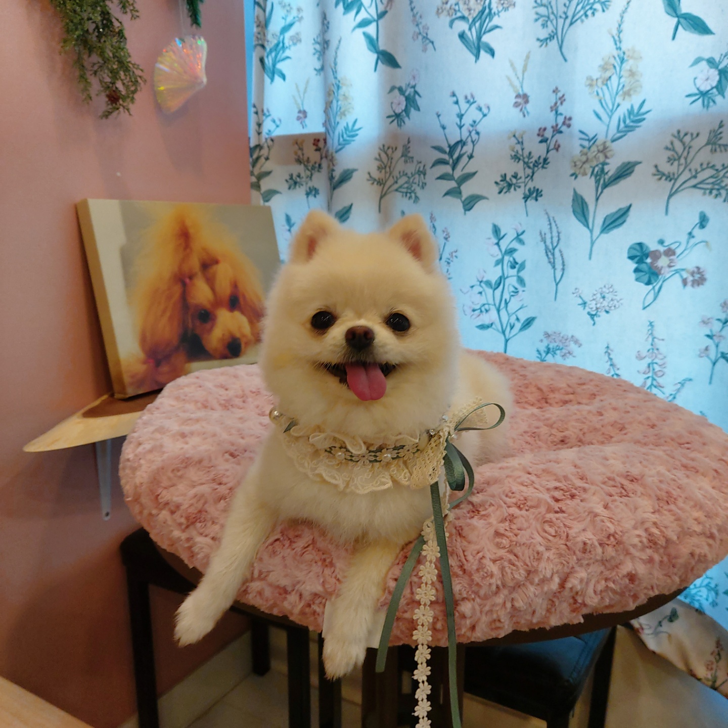 주변 가볼만한 곳