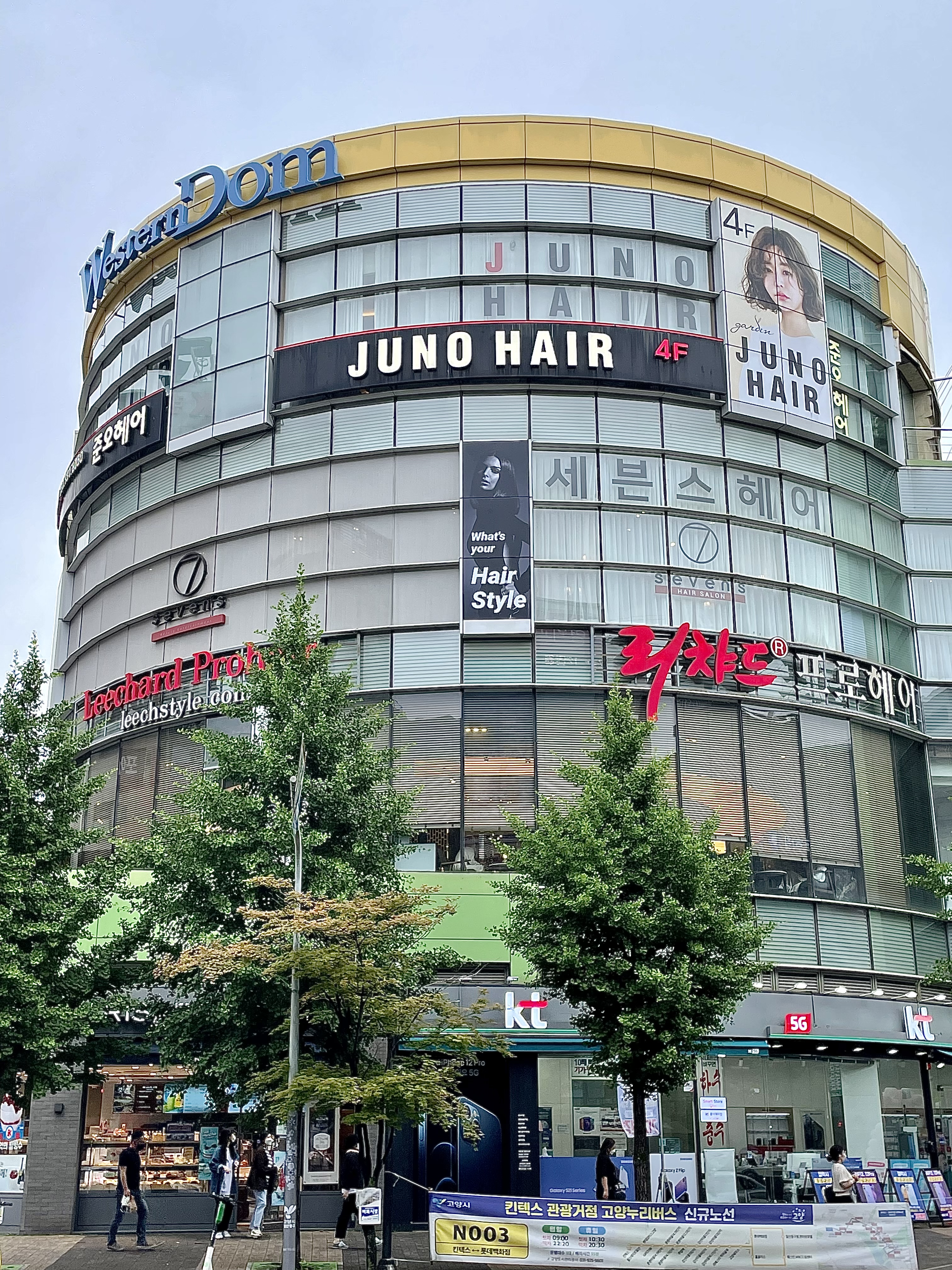 준오헤어 가든웨스턴돔점