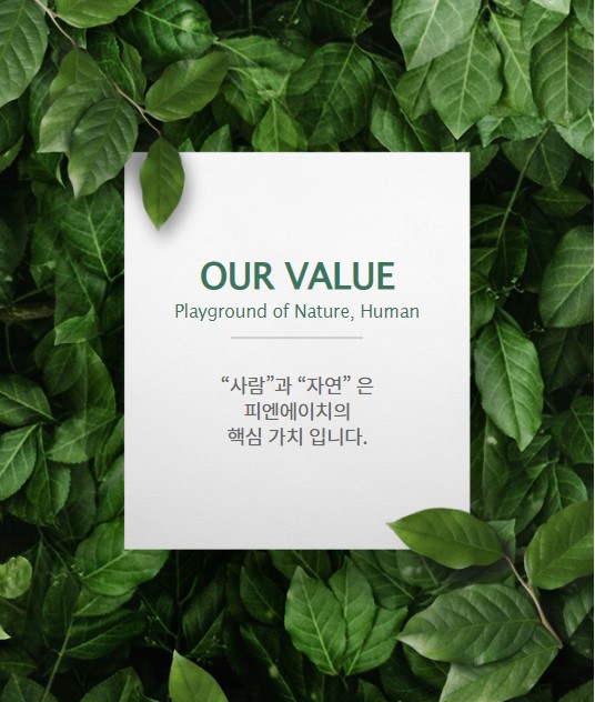 피엔에이치