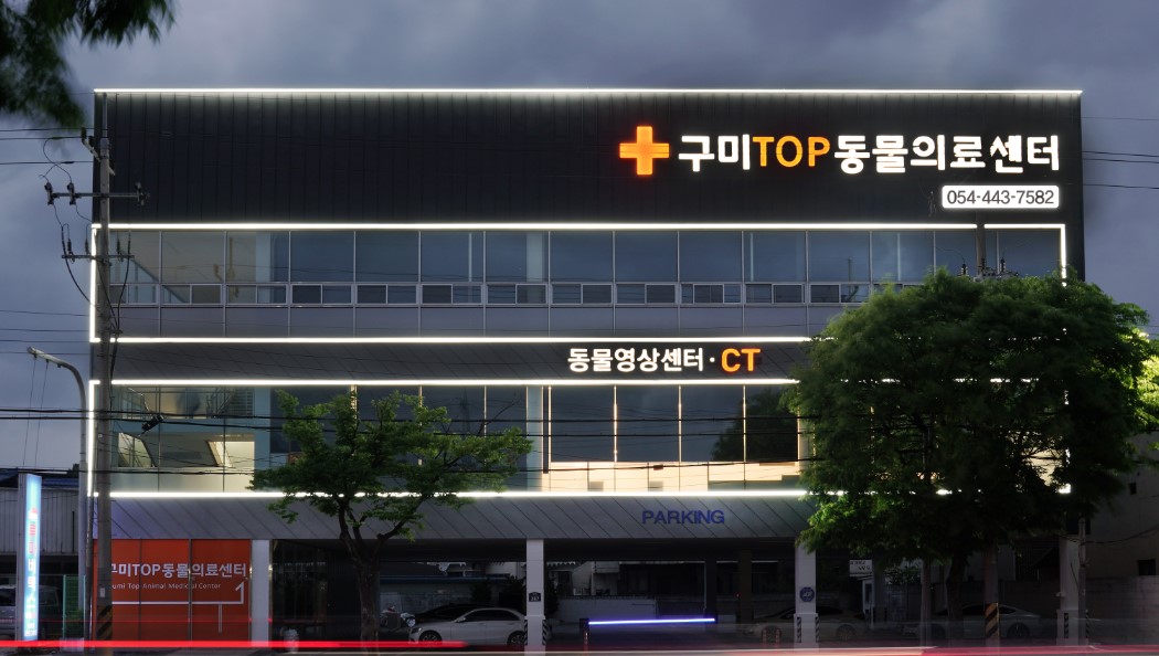 구미TOP동물의료센터