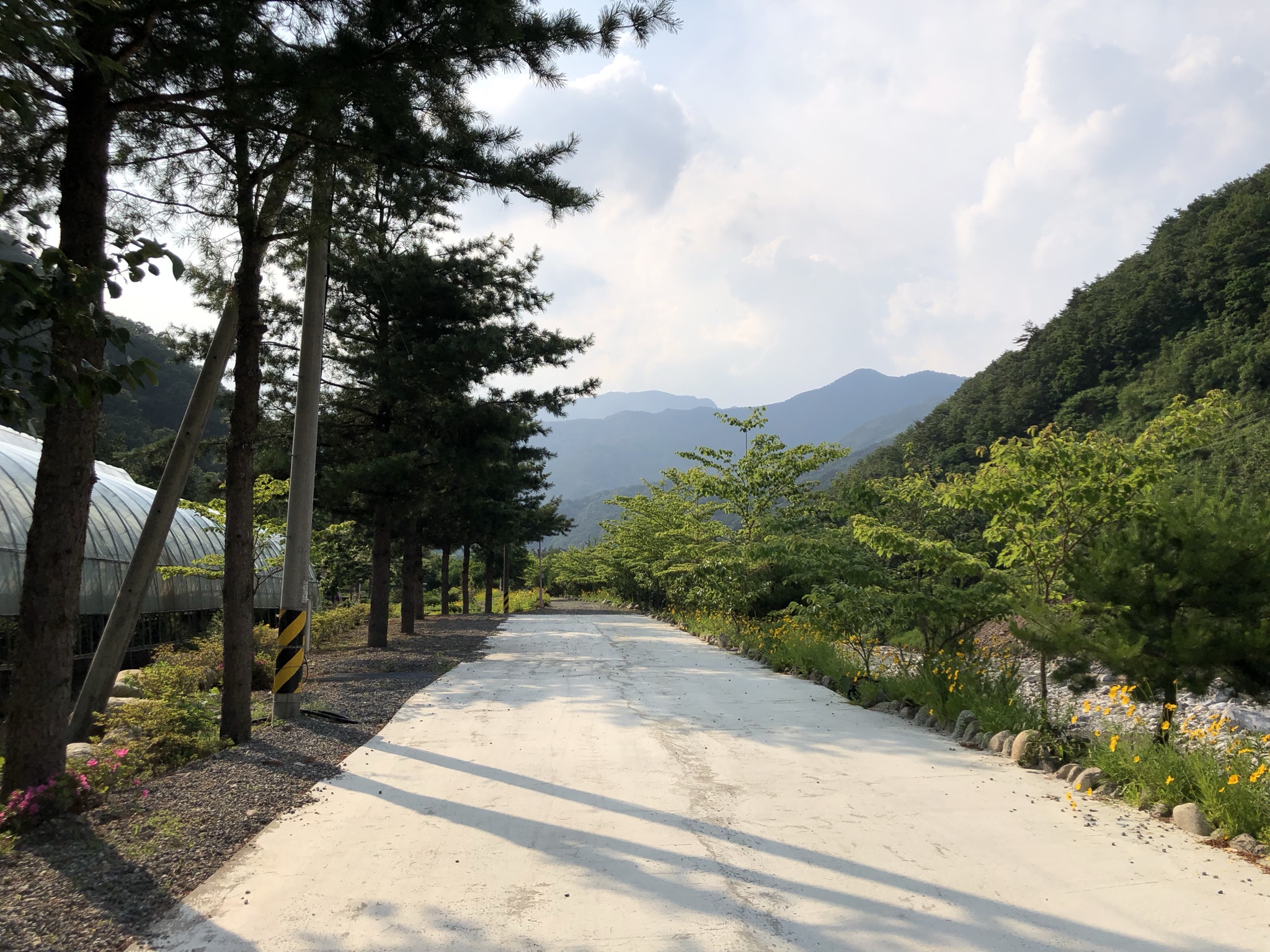 오색허브농원 캠핑장