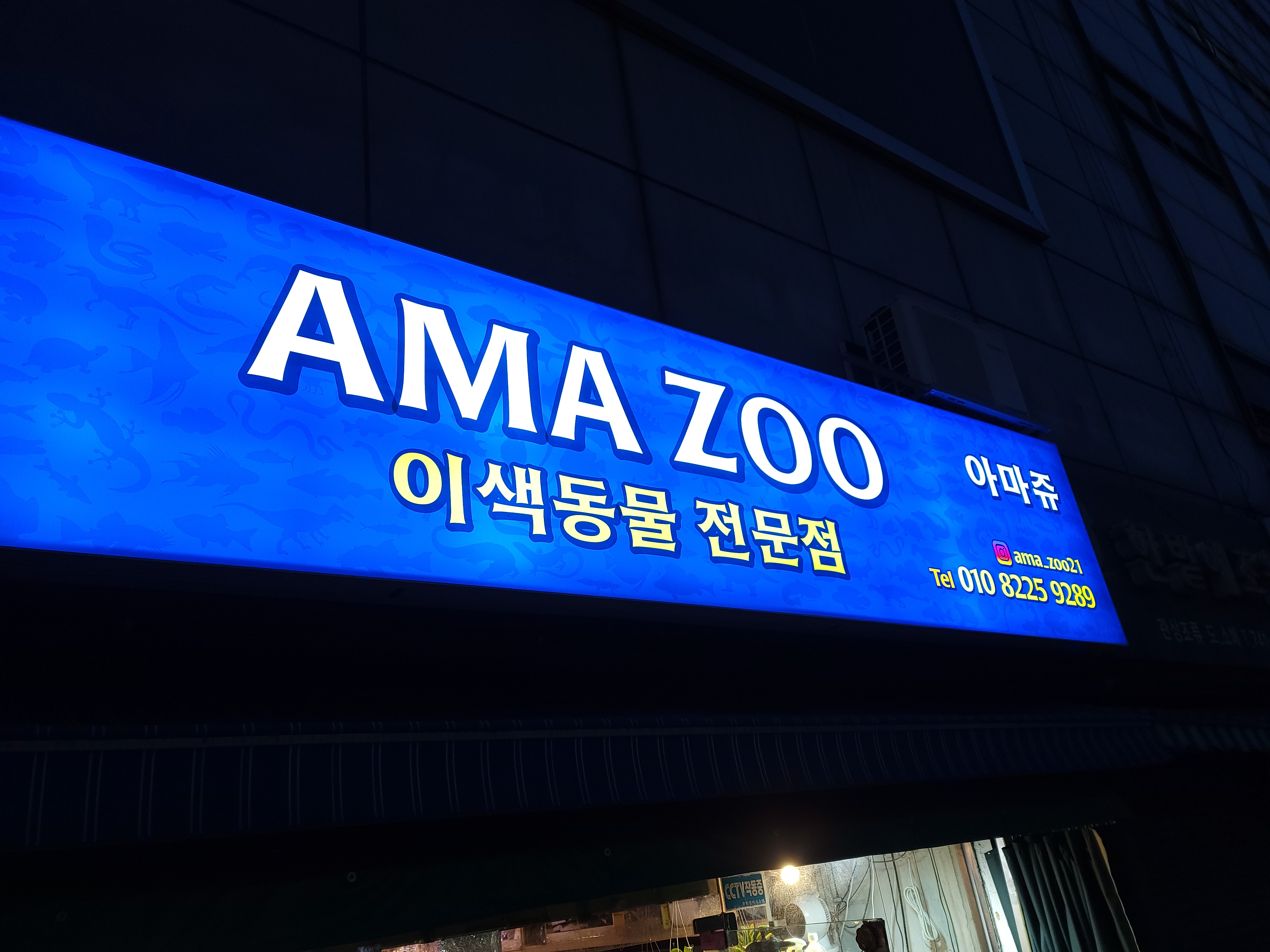 아마쥬 대표 이미지 - 다양한 파충류와 양서류