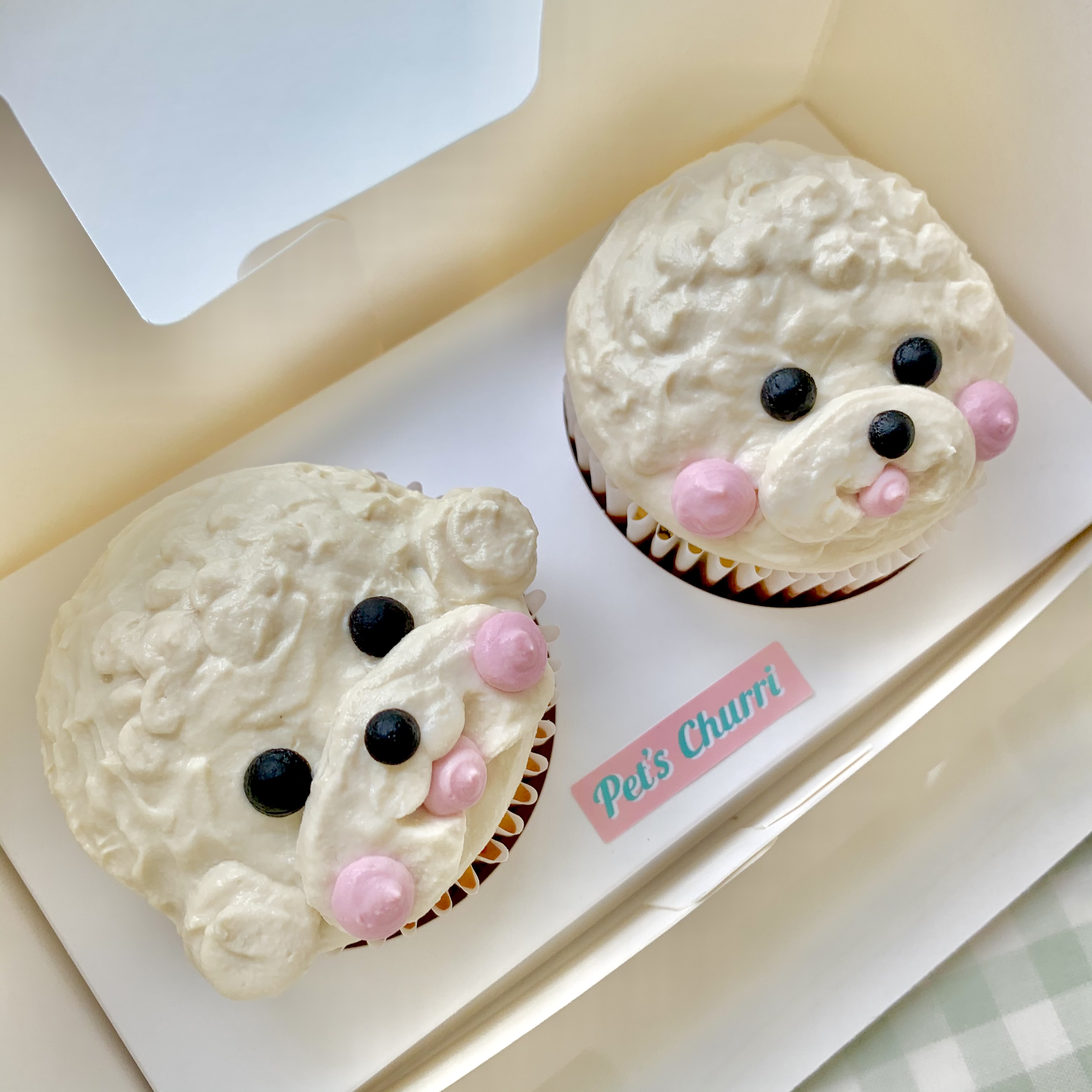 펫스튜리 대표 이미지