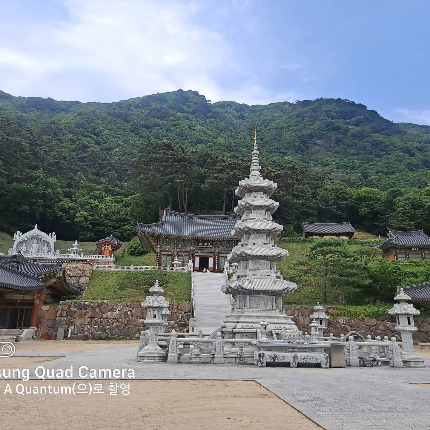 경북전자냉동