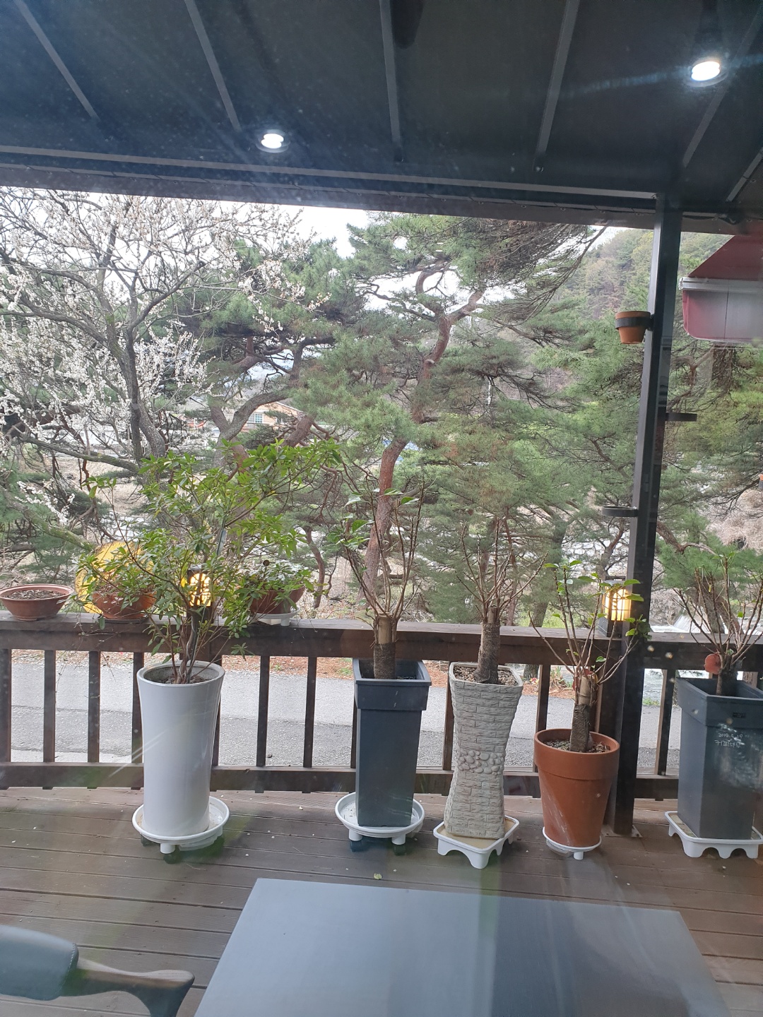 팜카페 대표 이미지