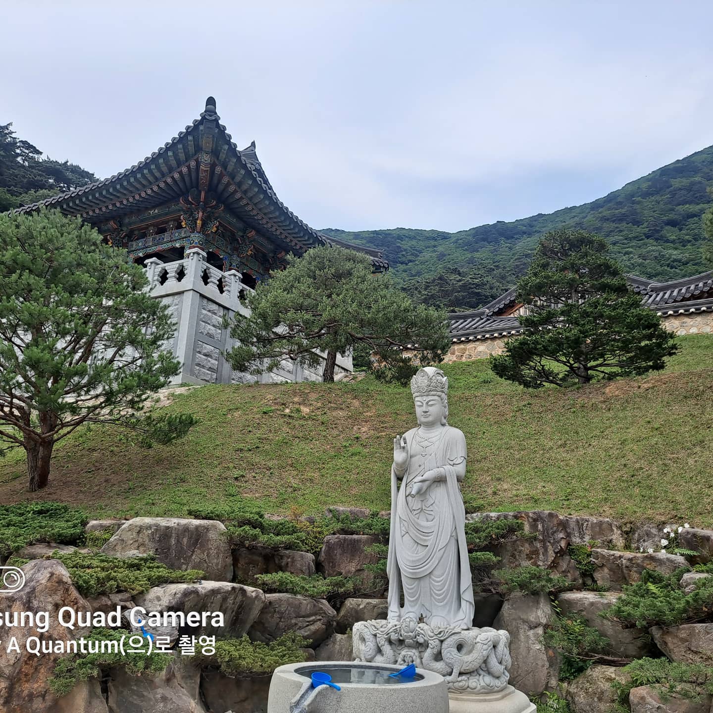 경북전자냉동