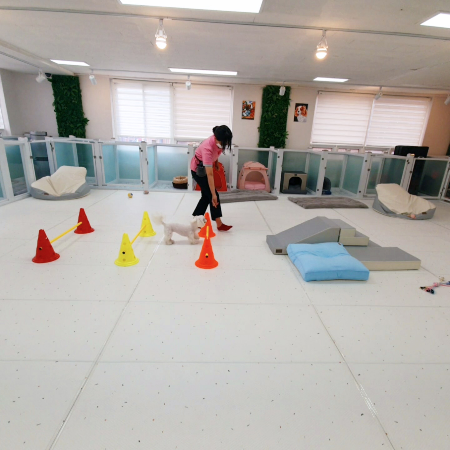 멍투게더 강아지유치원호텔 강남본점 대표 이미지