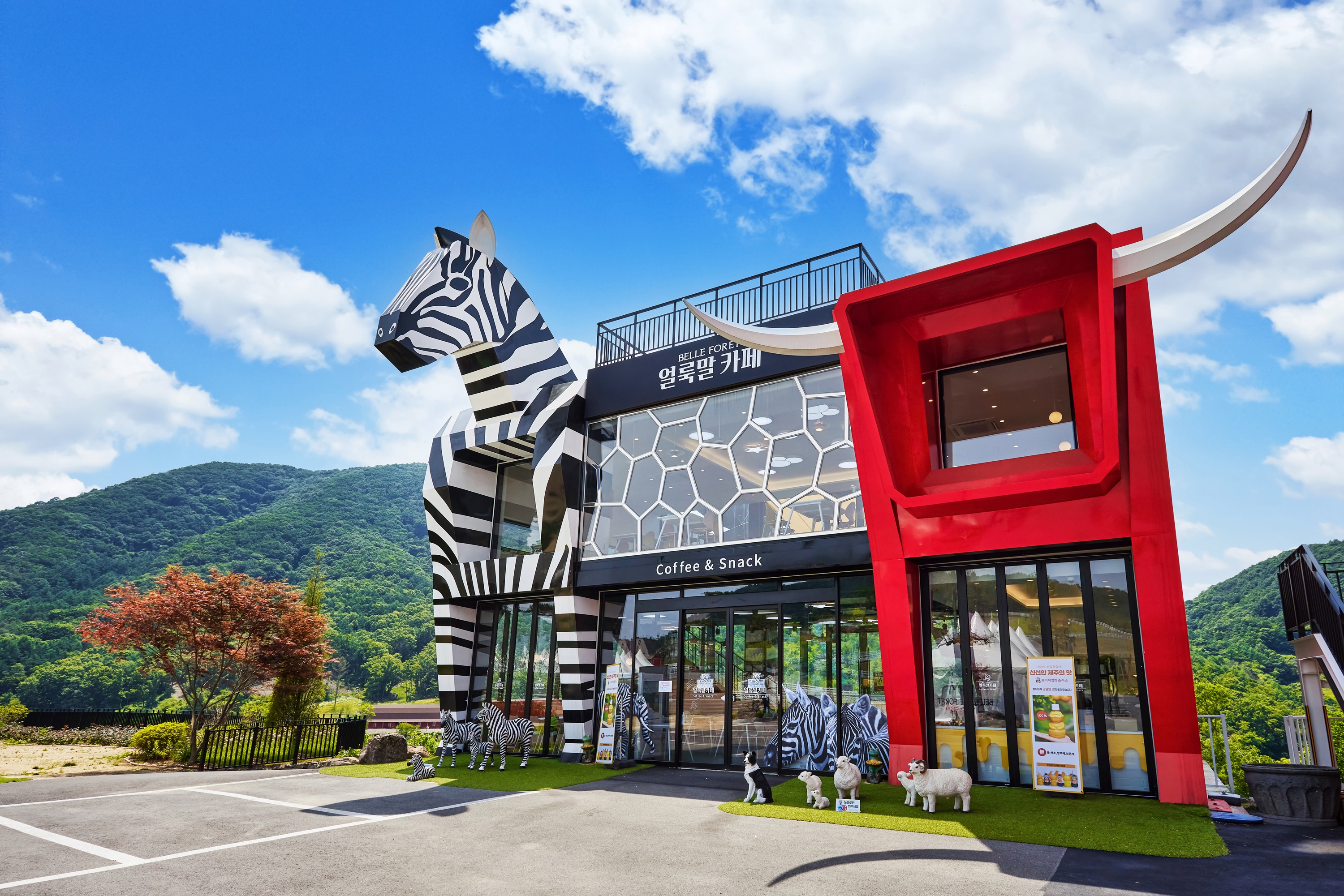 벨포레 얼룩말카페