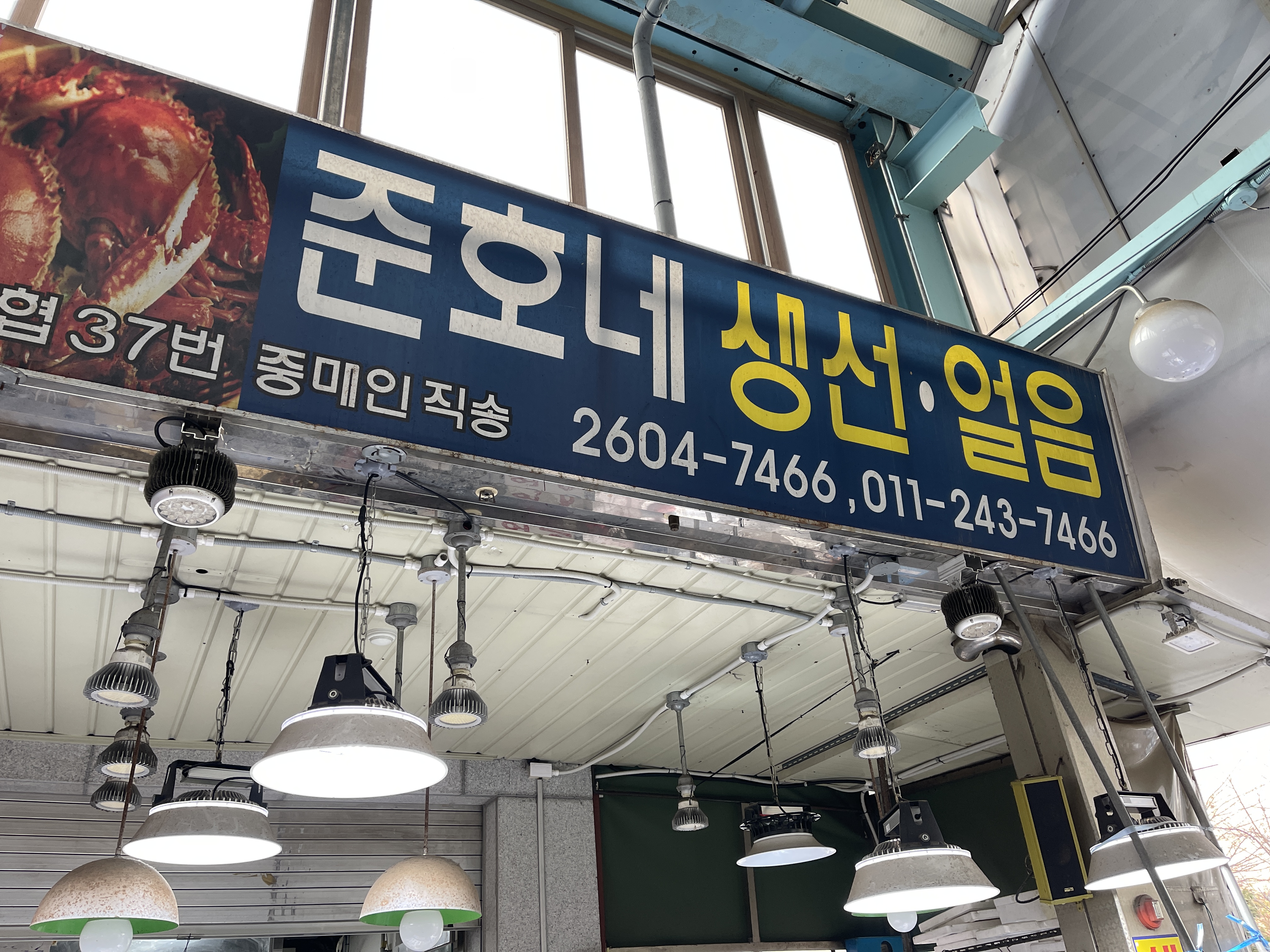 준호네생선
