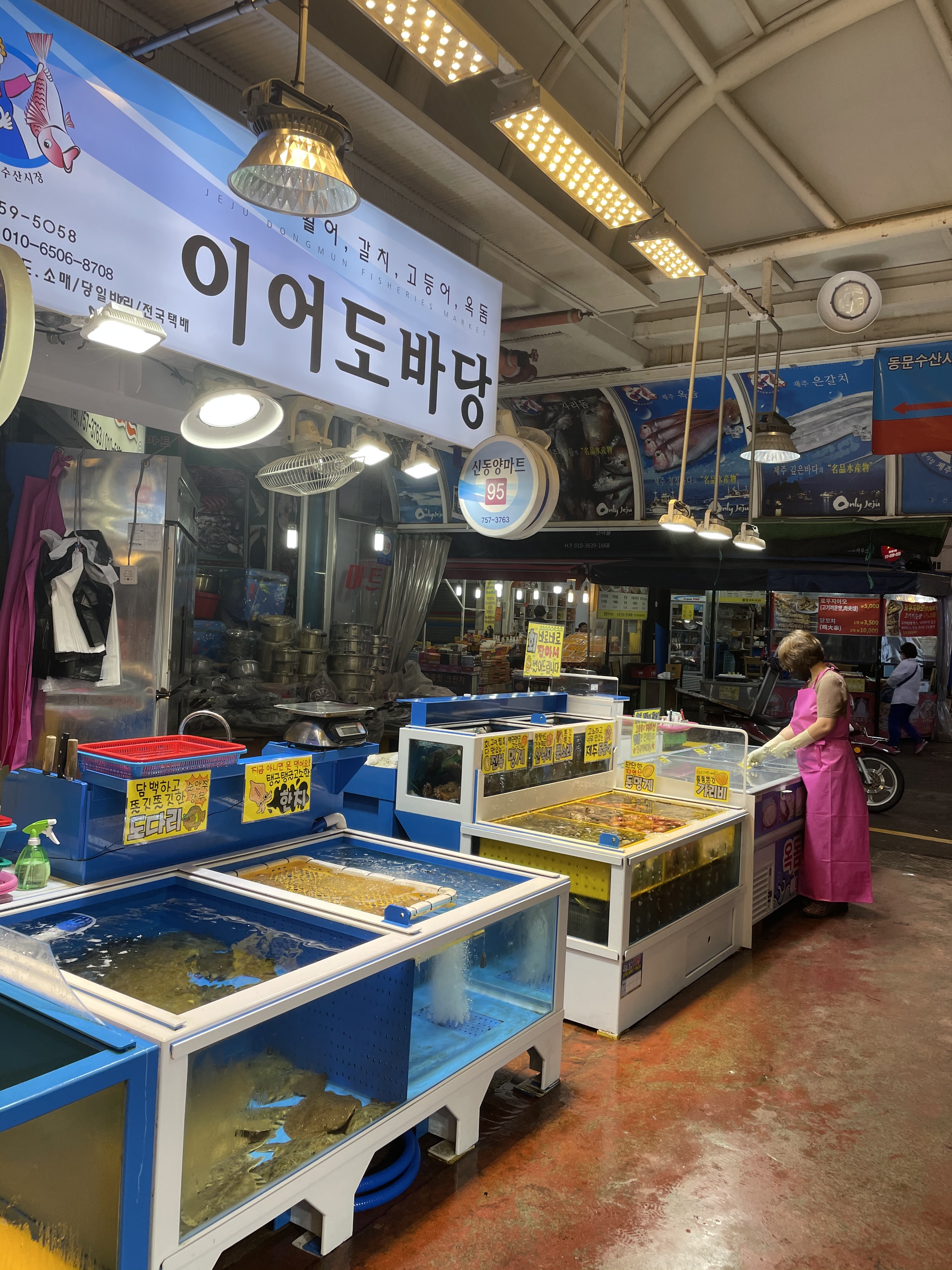 이어도바당