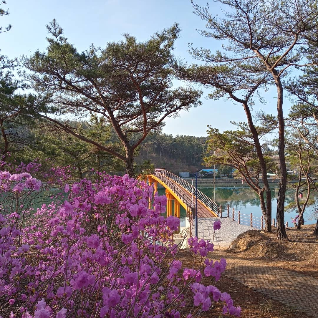 언덕위의바다정원펜션