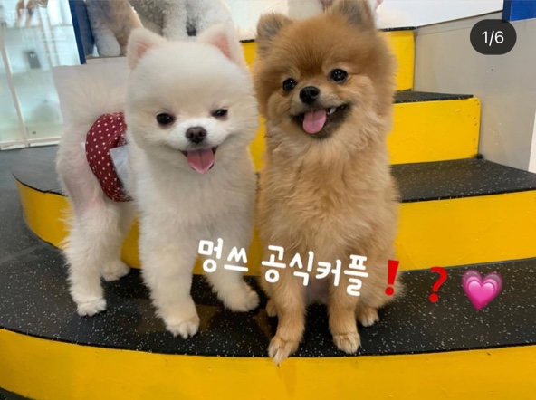 멍스토어