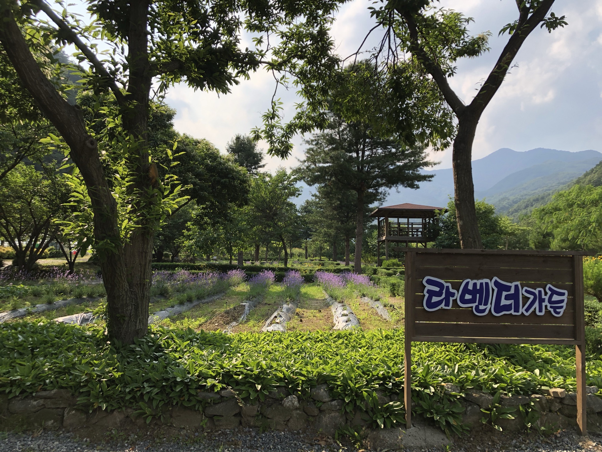 오색허브농원 캠핑장