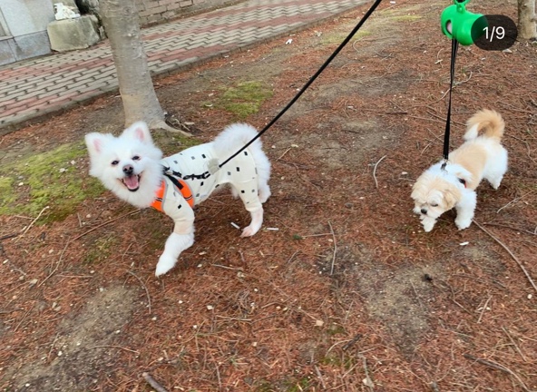멍스토어