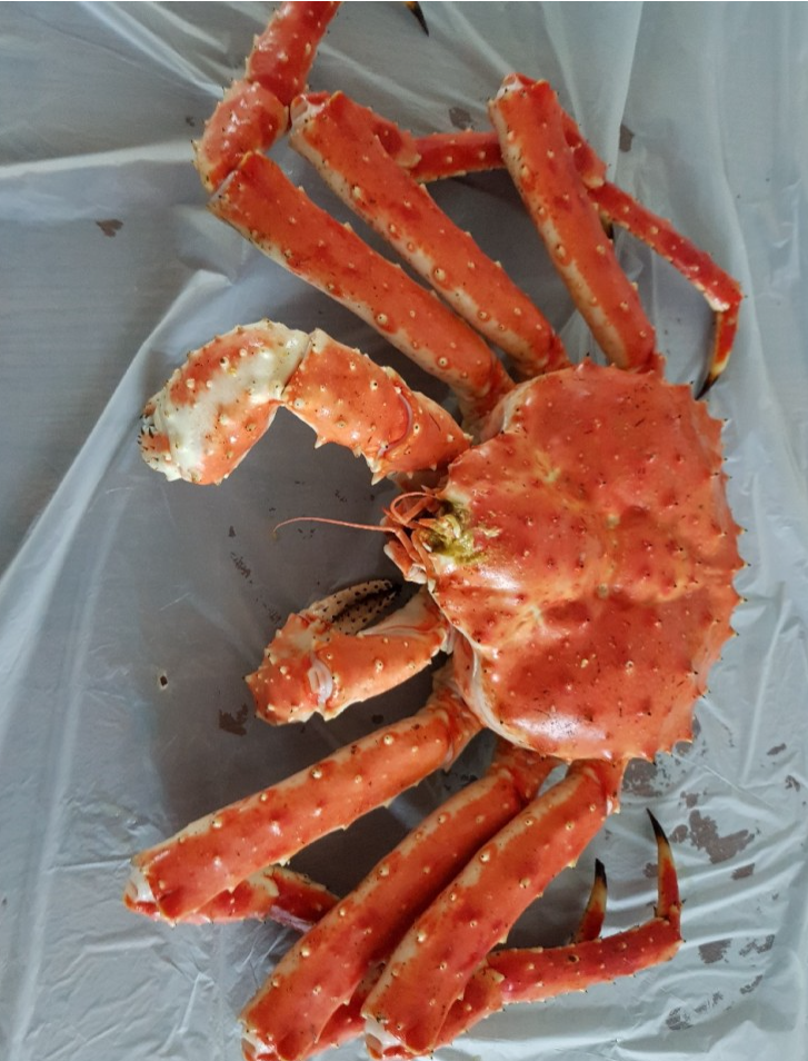 정현수산